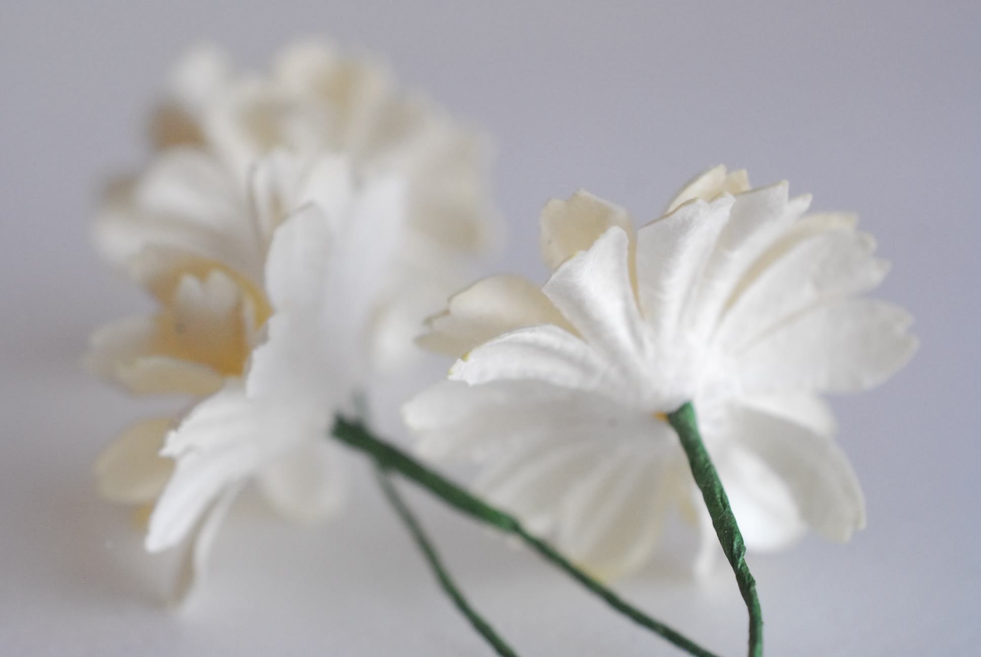 ดอกไม้กระดาษสา ดอกไม้ประดิษฐ์จากกระดาษสา ดอกเดซี่ ดอกไม้กระดาษสาขายส่ง ดอกไม้ประดิษฐ์ ดอกไม้ทำข้อมือเพื่อนเจ้าสาว ดอก daisy ขนาด 3.5 cm. จำนวน 25 ดอก สีครีม Paper Flower, 25 Daisy Flowers, ivory color, size 4.5 cm., ivory cream pollen.