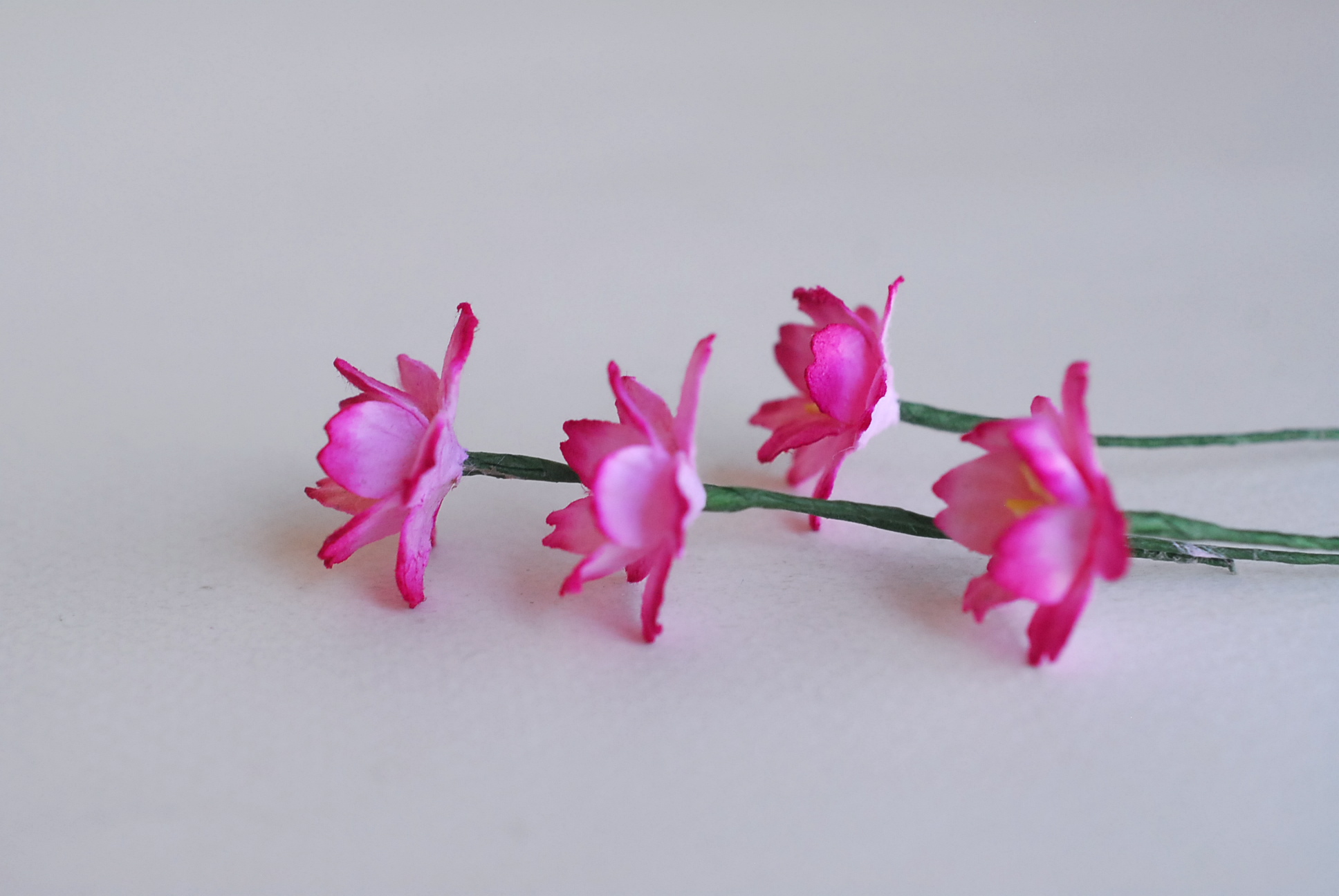 ดอกไม้กระดาษสา ดอกซากุระกระดาษ ขนาดเล็ก ดอกไม้กระดาษสาราคาส่ง ดอกไม้กระดาษสำหรับตกแต่งของชำร่วย งานแต่งงาน ทำช่อดอกไม้ติดอกเจ้าบ่าว ข้อมือดอกไม้เจ้าสาว ขนาด2.0 cm. 50 ดอก สีชมพูบานเย็นปัด Paper flowers supplies: DIY wedding tools small Cherry blossom