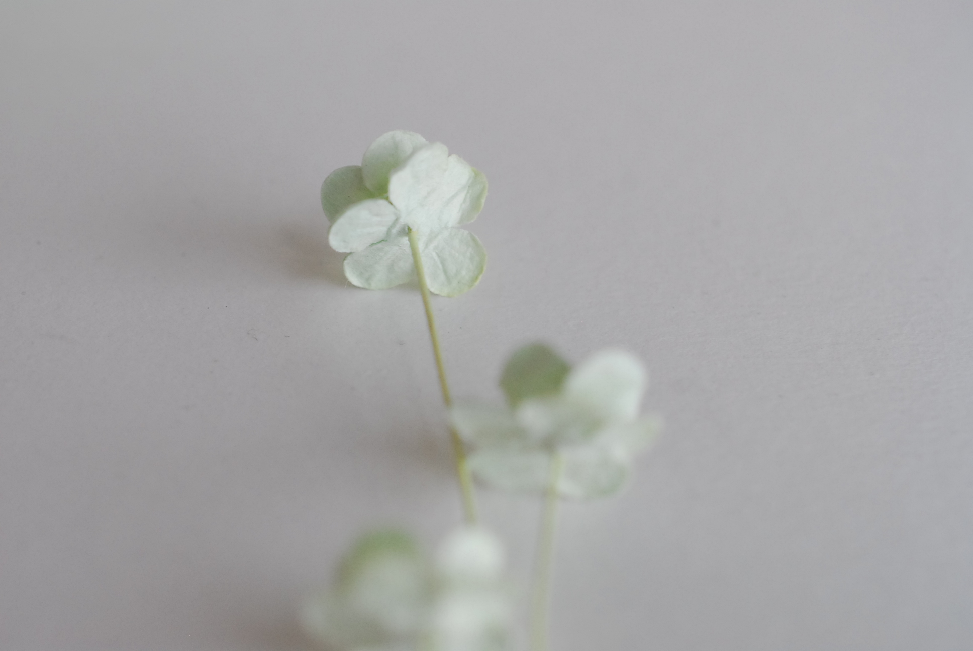 ดอกไม้กระดาษสา ราคาส่ง, ดอกไฮเดรนเยียกระดาษสา ดอกไม้ประดิษฐ์ ตกแต่งงาน ประดิษฐ์ข้อมือ เพื่อนเจ้าสาว ขนาด 1.5 cm., สำหรับของชำร่วย, งานแต่งงาน, ดอกไม้ทำข้อมือเจ้าสาว สีเขียวมิ้นต์ จำนวน 100 ดอก Paper flower,100 Pieces mulberry hydenyia, green mint color.