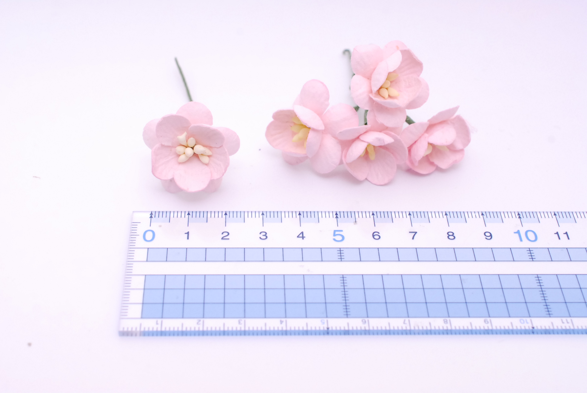 ดอกไม้กระดาษสา ดอกซากุระกระดาษ ดอกไม้กระดาษสาราคาส่ง ดอกไม้กระดาษสำหรับตกแต่งของชำร่วย งานแต่งงาน ทำช่อดอกไม้ติดอกเจ้าบ่าว ข้อมือดอกไม้เจ้าสาว ขนาด2.5 cm. 50 ดอก สีชมพู Paper flowers supplies: DIY wedding tools Cherry blossom (Sakura) 50 pcs. size 2.5 cm.