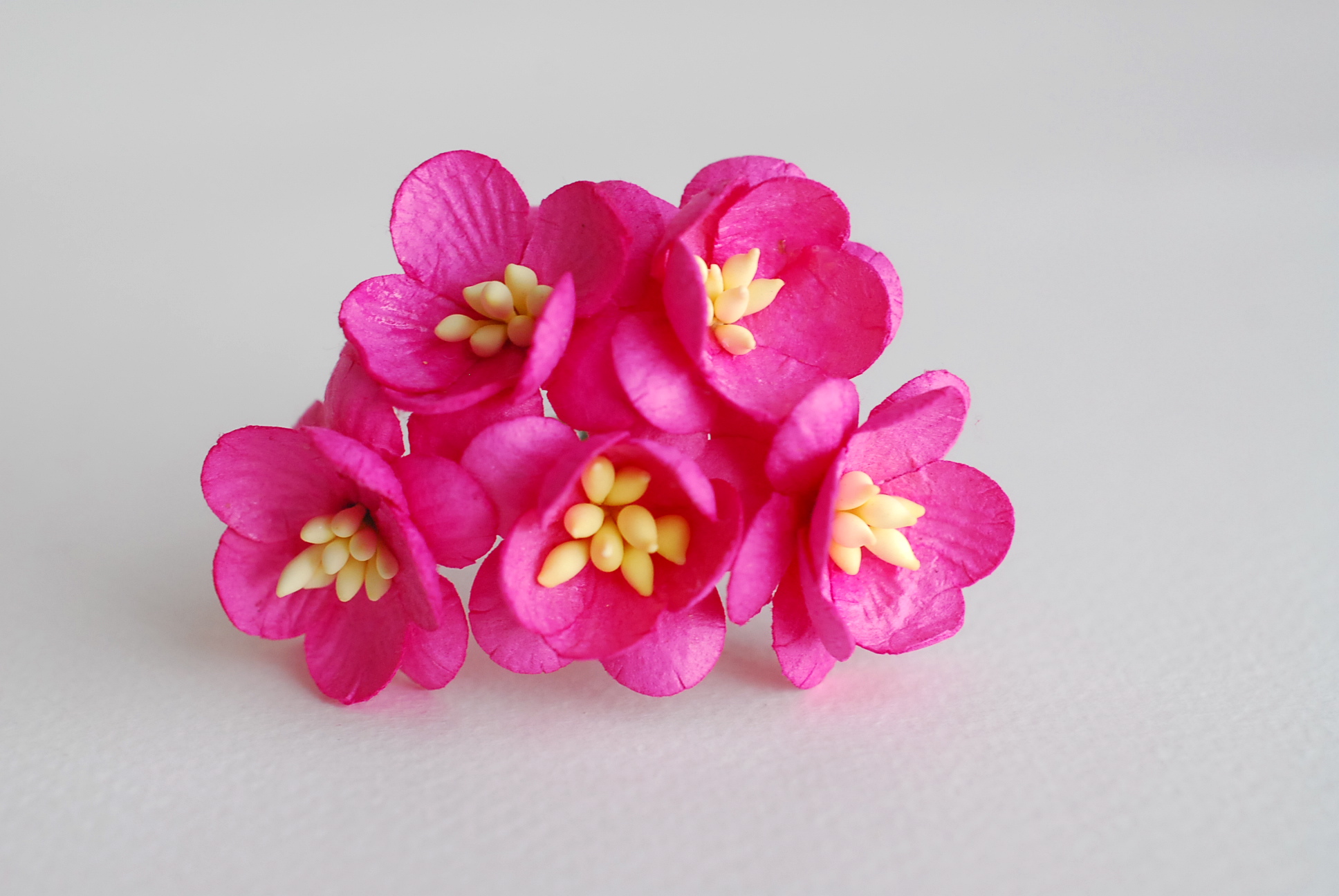 ดอกไม้กระดาษสา ดอกซากุระกระดาษ ดอกไม้กระดาษสาราคาส่ง ดอกไม้กระดาษสำหรับตกแต่งของชำร่วย งานแต่งงาน ทำช่อดอกไม้ติดอกเจ้าบ่าว ข้อมือดอกไม้เจ้าสาว ขนาด2.5 cm. 50 ดอก สีชมพูบานเย็น Paper flowers supplies: DIY wedding tools Cherry blossom (Sakura) 50 pcs. size