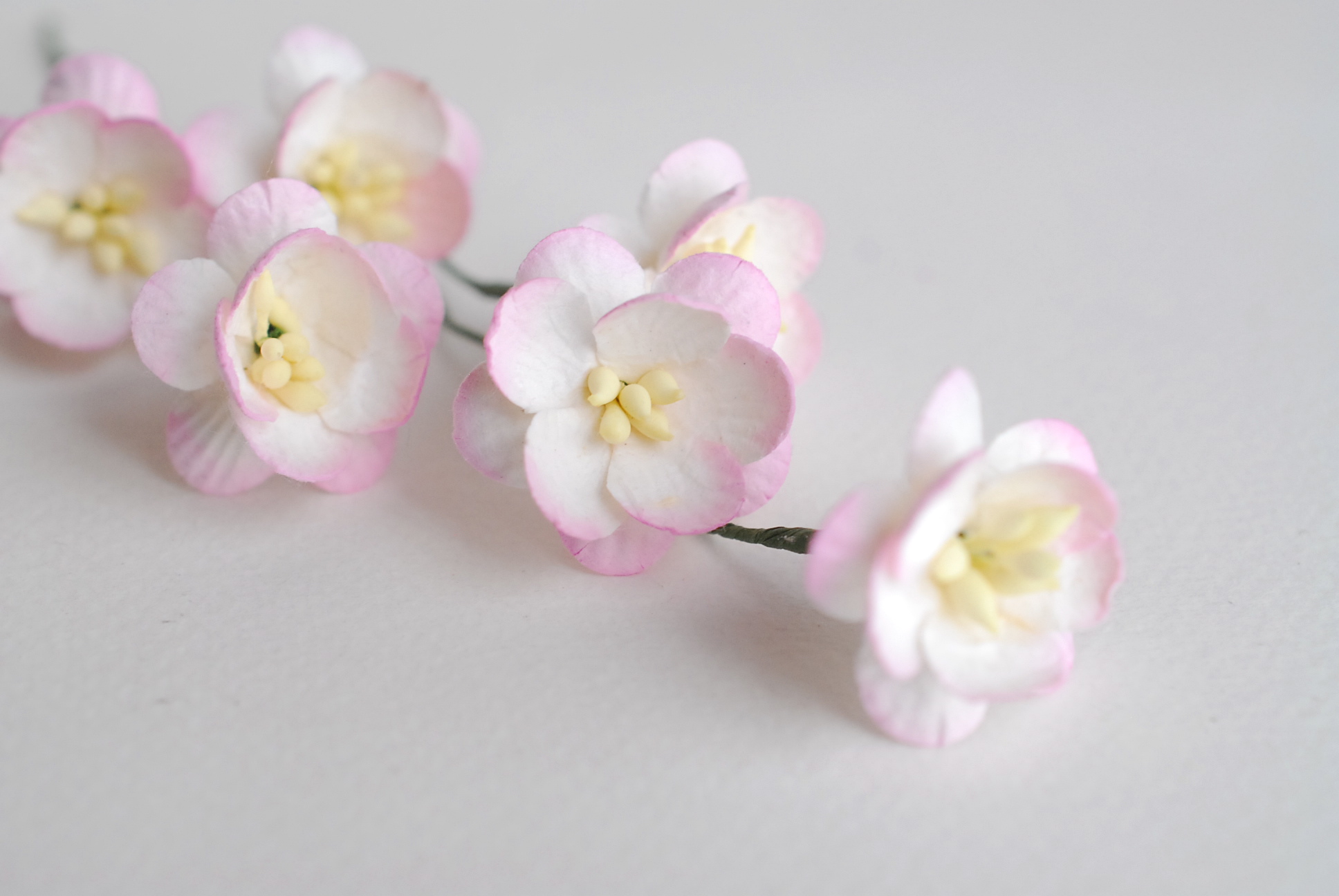 ดอกไม้กระดาษสา ดอกซากุระกระดาษ ดอกไม้กระดาษสาราคาส่ง ดอกไม้กระดาษสำหรับตกแต่งของชำร่วย งานแต่งงาน ทำช่อดอกไม้ติดอกเจ้าบ่าว ข้อมือดอกไม้เจ้าสาว ขนาด2.5 cm. 50 ดอก สีชมพูปัด Paper flowers supplies: DIY wedding tools Cherry blossom (Sakura) 50 pcs. size 2.5