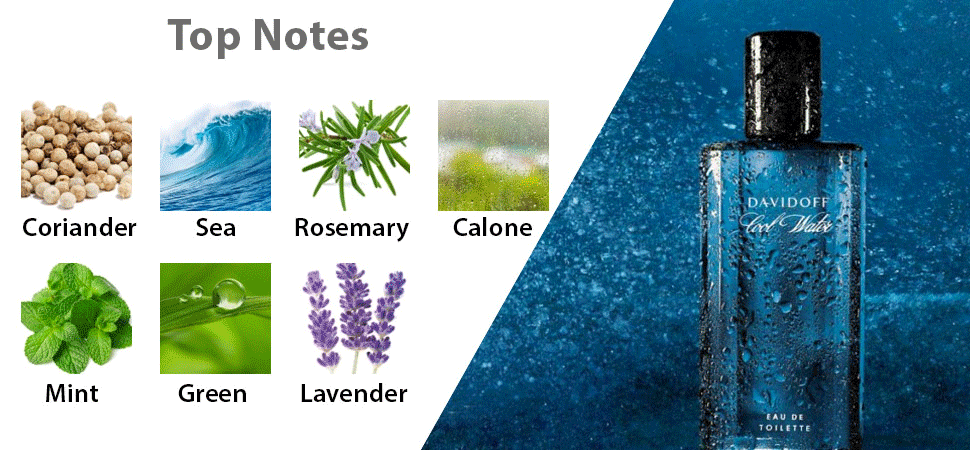 DAVIDOFF Cool Water EDT (Counter Box)