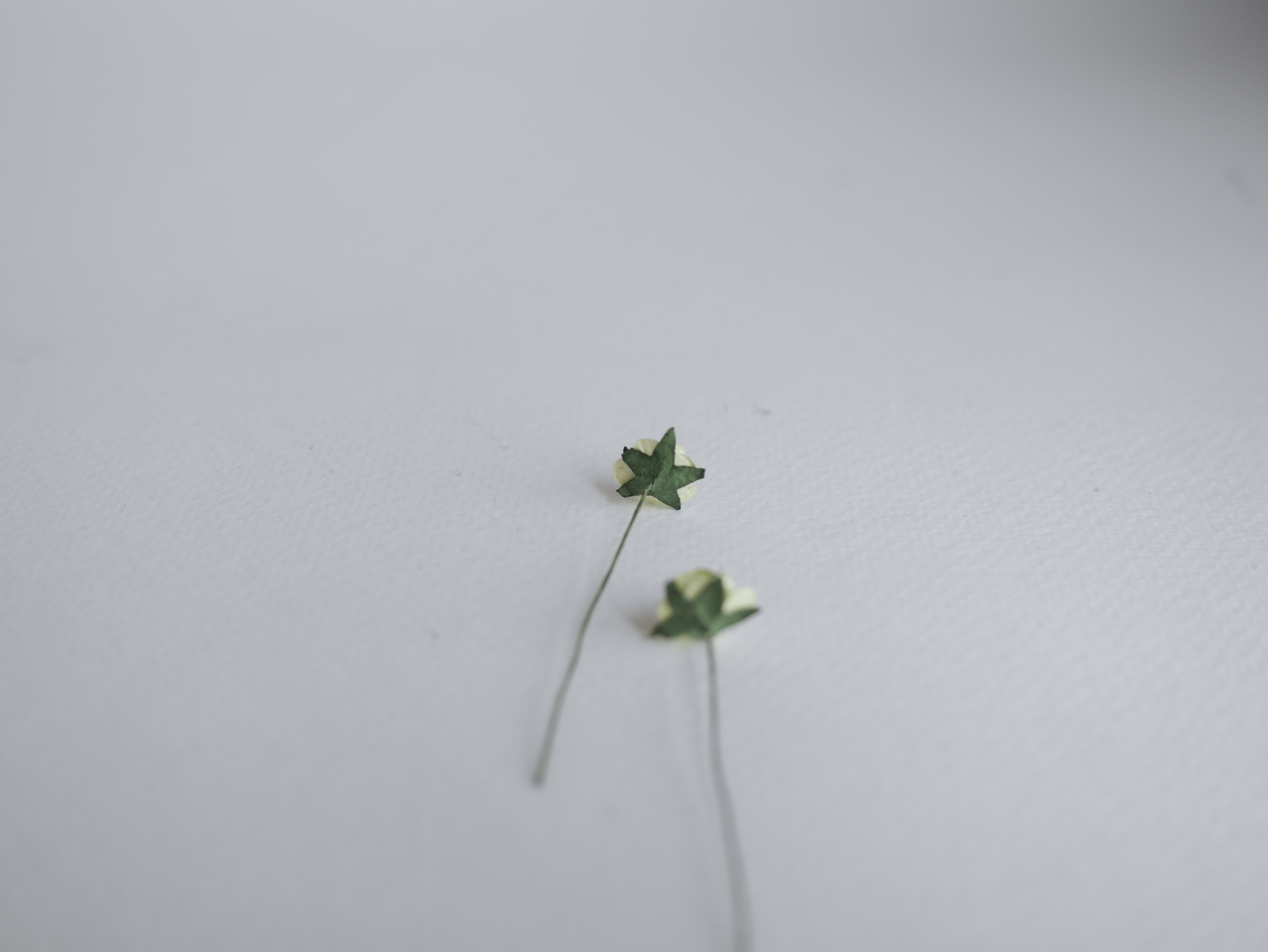 ดอกไม้กระดาษสาสำหรับตกแต่ง ของชำร่วย ดอกกุหลาบกระดาษสา ดอกไม้จิ๋ว สีเขียวอ่อน เขียวเข้ม two-tone ขนาด 0.8 cm. จำนวน 100 ดอก/1 ถุง