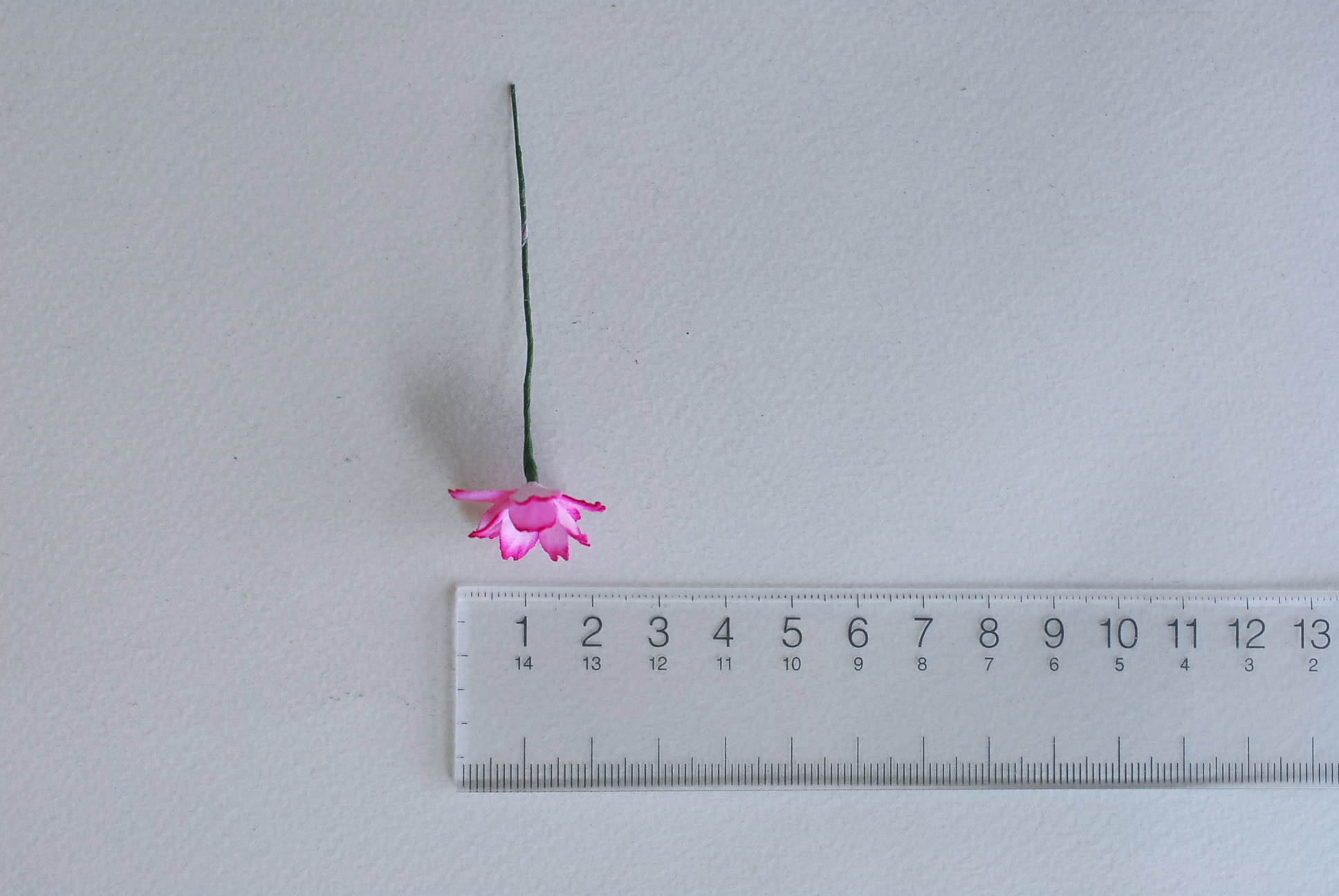 ดอกไม้กระดาษสา ดอกซากุระกระดาษ ขนาดเล็ก ดอกไม้กระดาษสาราคาส่ง ดอกไม้กระดาษสำหรับตกแต่งของชำร่วย งานแต่งงาน ทำช่อดอกไม้ติดอกเจ้าบ่าว ข้อมือดอกไม้เจ้าสาว ขนาด2.0 cm. 50 ดอก สีชมพูบานเย็นปัด Paper flowers supplies: DIY wedding tools small Cherry blossom