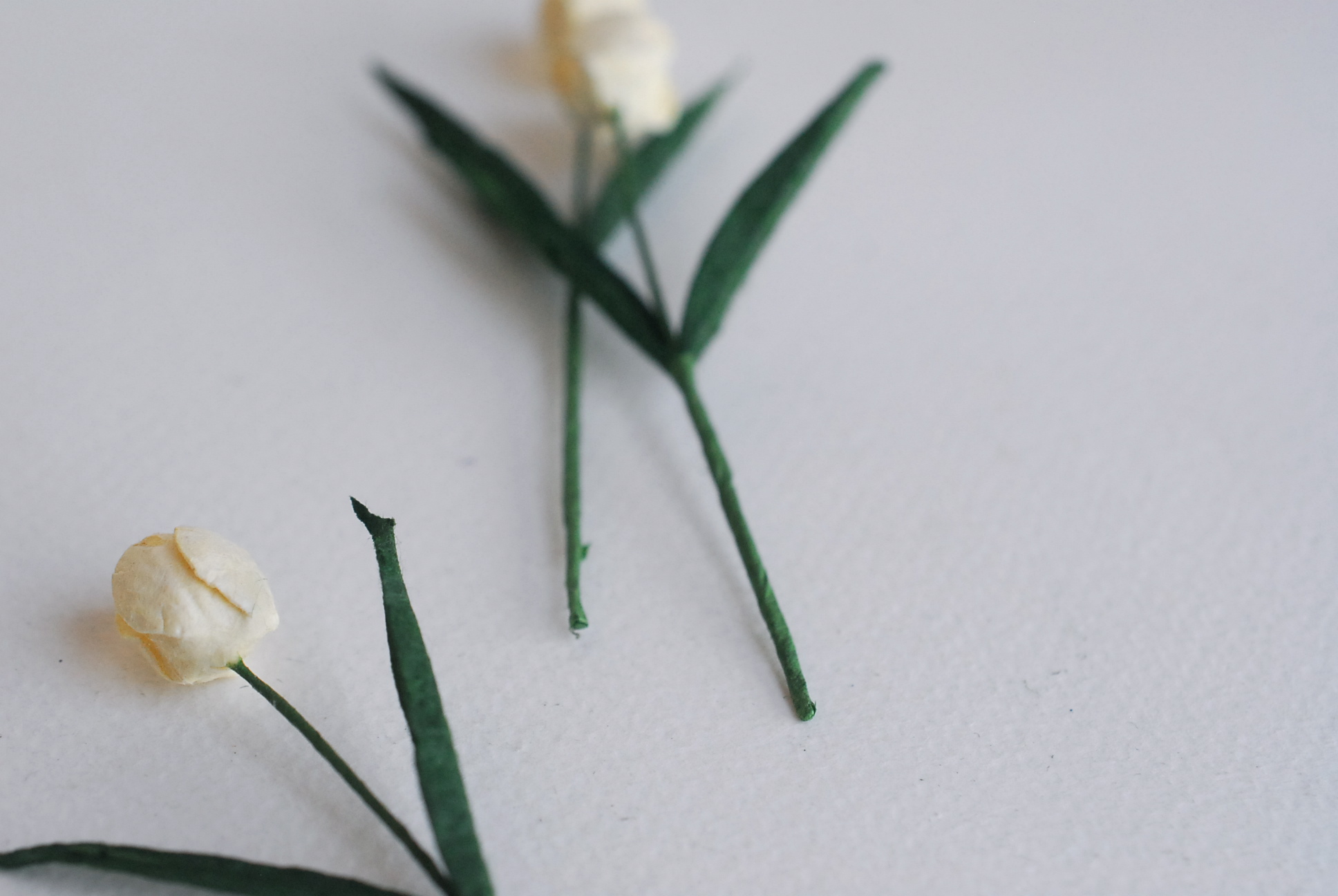 ดอกไม้ประดิษฐ์, ดอกไม้กระดาษสา, ดอกtulips, ดอกทิวลิปส์, ก้านสีเขียว เกสรสีขาว งานประดิษฐ์ตกแต่งของชำร่วย,ทำการ์ดรับเชิญ,ช่อดอกไม้ขนาดเล็ก, ขนาด 1.5 cm. สีขาวครีม