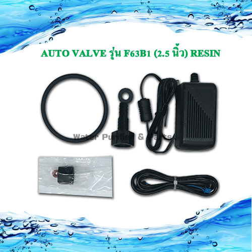 ตัวควบคุม คอนโทรลวาล์ว Auto Valve รุ่น F63B1 (2.5 นิ้ว) Resin