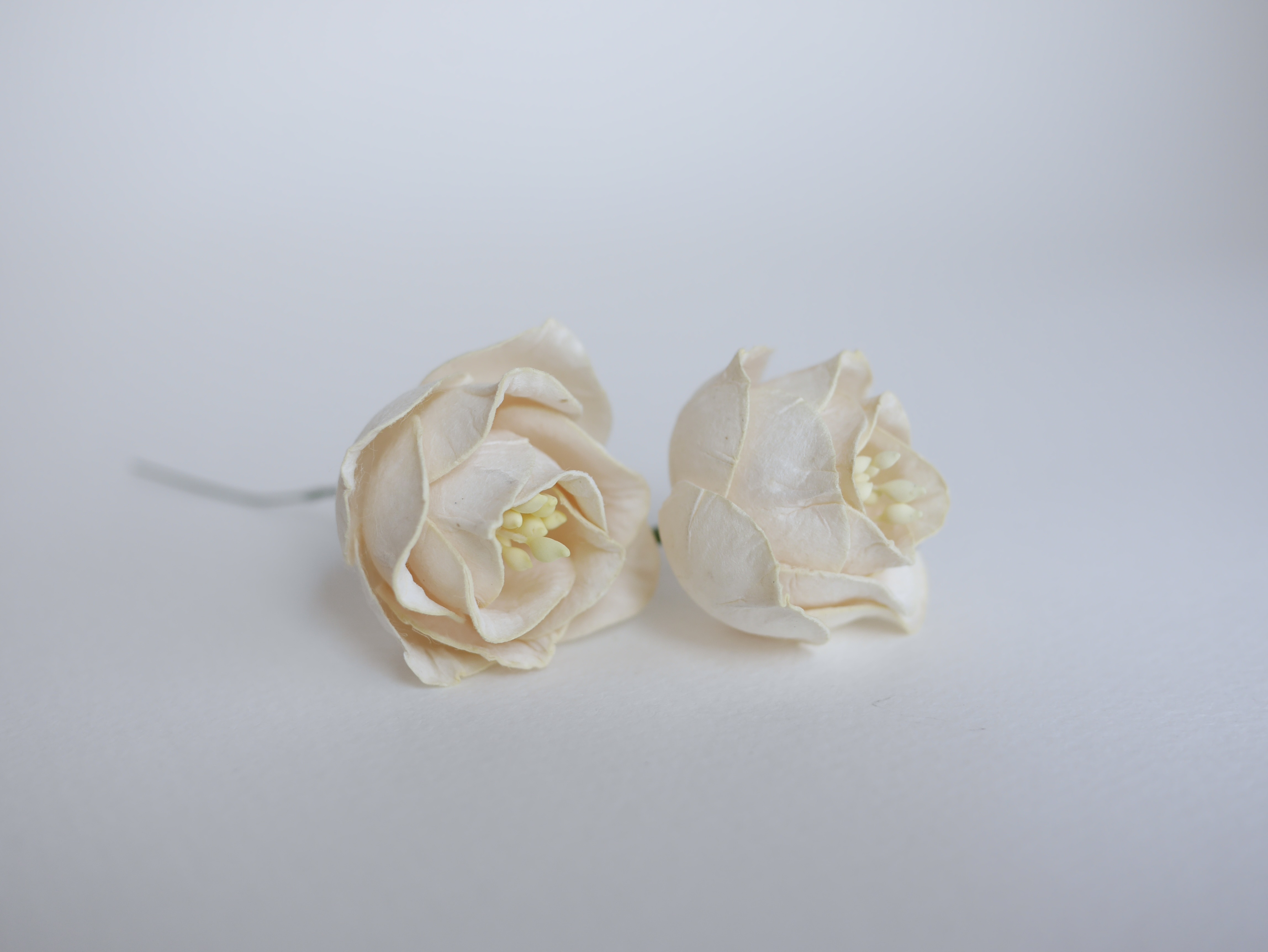 ดอกไม้กระดาษสา ดอกโลตัสอินโดนิเซียกระดาษ ดอกไม้กระดาษสาราคาส่ง ดอกไม้กระดาษสำหรับตกแต่งของชำร่วย งานแต่งงาน ทำช่อดอกไม้ติดอกเจ้าบ่าว ข้อมือดอกไม้เจ้าสาว ขนาด4.5 cm. 20 ดอก สีงาช้าง Paper flowers supplies: DIY wedding tools, Lotus with pollens.