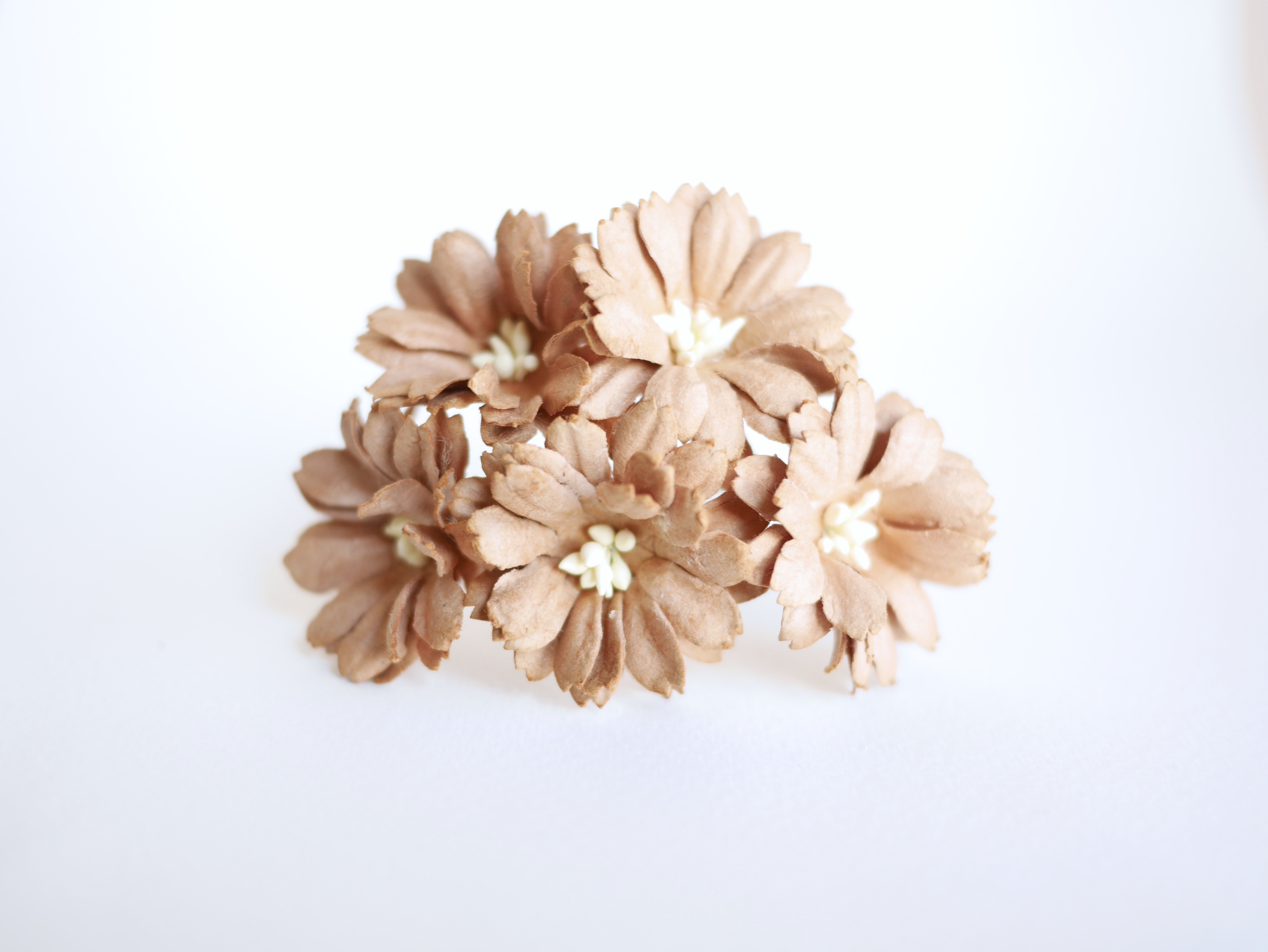 ดอกไม้กระดาษสา ดอกไม้ประดิษฐ์จากกระดาษสา ดอกไม้กระดาษสาขายส่ง ดอกไม้ประดิษฐ์ ดอกไม้ทำข้อมือเพื่อนเจ้าสาว ดอก daisy ขนาด 3.5 cm. จำนวน 25 ดอก สีน้ำตาล Paper Flower, 25 Daisy Flowers, brown color, size 3.5 cm., ivory pollen