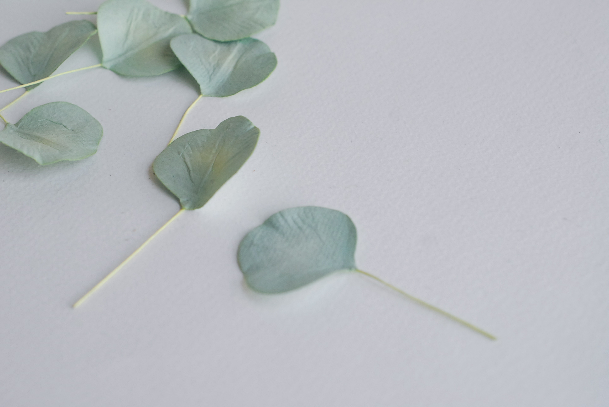 ใบไม้กระดาษ orbicular leaves ใบไม้กระดาษสา ราคาส่ง,ใบไม่้กลม กระดาษ สำหรับงานประดิษฐ์ ใบไม้ประดิษฐ์ สำหรับตกแต่ง หรืองานแต่งงาน สีเขียวตุ่น ขนาด 3x3 cm. จำนวน 50 ใบ