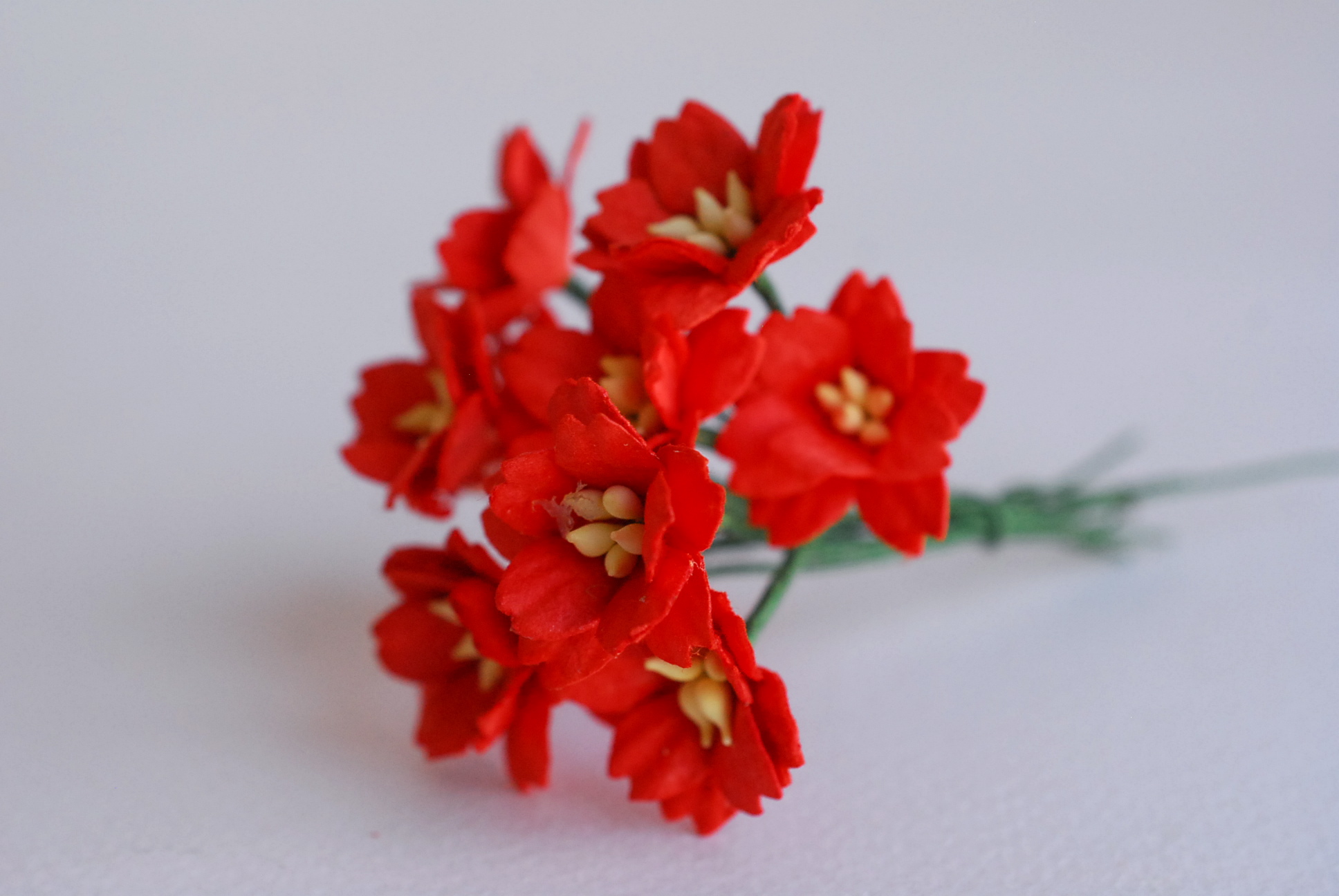 ดอกไม้กระดาษสา ดอกซากุระกระดาษ ขนาดเล็ก ดอกไม้กระดาษสาราคาส่ง ดอกไม้กระดาษสำหรับตกแต่งของชำร่วย งานแต่งงาน ทำช่อดอกไม้ติดอกเจ้าบ่าว ข้อมือดอกไม้เจ้าสาว ขนาด2.0 cm. 50 ดอก สีแดง Paper flowers supplies: DIY wedding tools small Cherry blossom (Sakura) red co