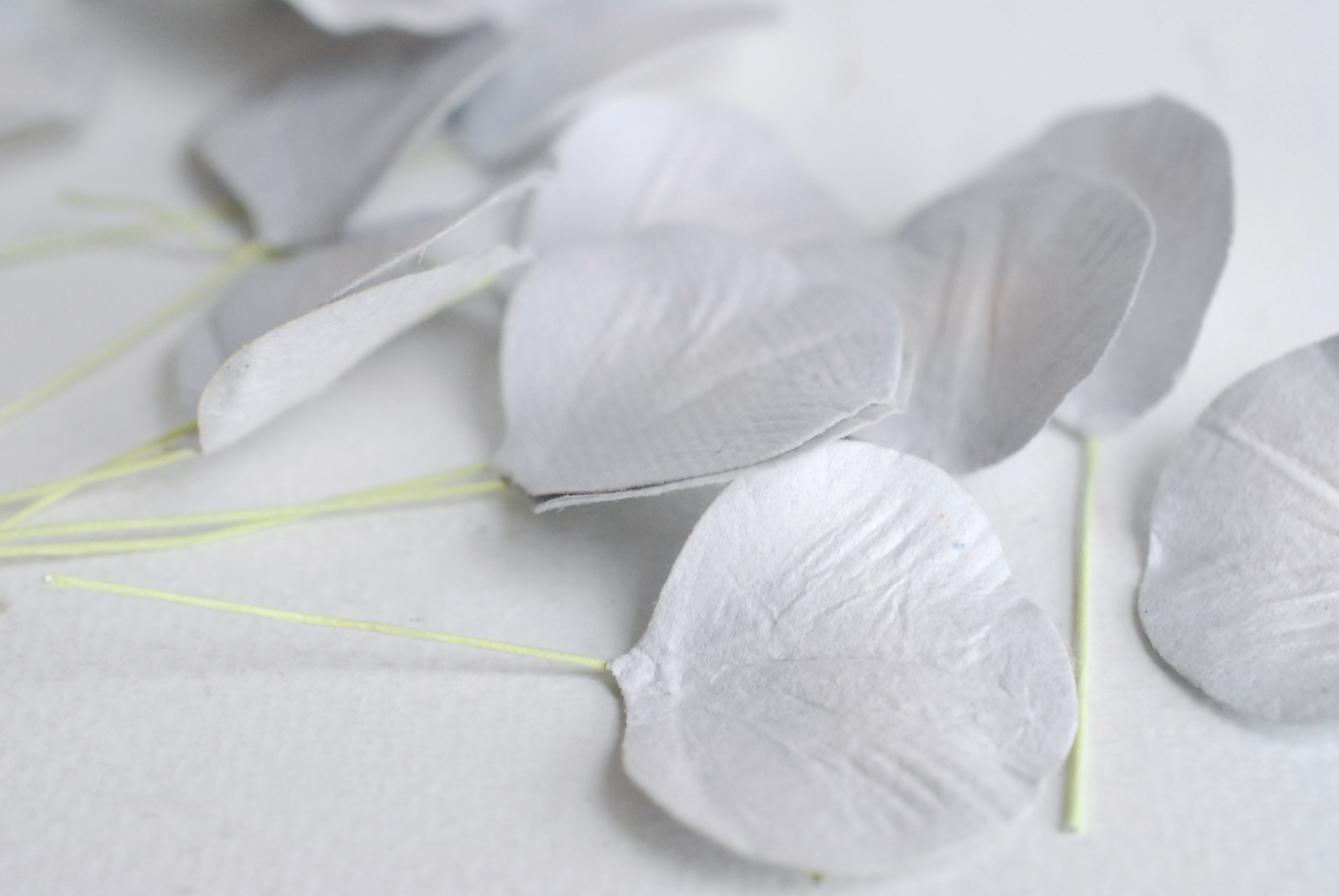 ใบไม้กระดาษ orbicular leaves ใบไม้กระดาษสา ราคาส่ง,ใบไม่้กลม กระดาษ สำหรับงานประดิษฐ์ ใบไม้ประดิษฐ์ สำหรับตกแต่ง หรืองานแต่งงาน สีเทา ขนาด 3x3 cm. จำนวน 50 ใบ