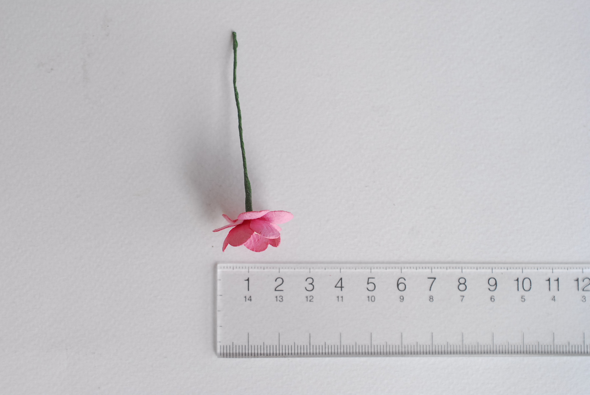 ดอกไม้กระดาษสา ดอกซากุระกระดาษ ดอกโบตั๋น ดอกไม้กระดาษสาราคาส่ง ดอกไม้กระดาษสำหรับตกแต่งของชำร่วย งานแต่งงาน ทำช่อดอกไม้ติดอกเจ้าบ่าว ข้อมือดอกไม้เจ้าสาว ขนาด2.5 cm. 50 ดอก Paper flowers supplies: DIY wedding tools Cherry blossom (Sakura) 50 pcs. size 2.5