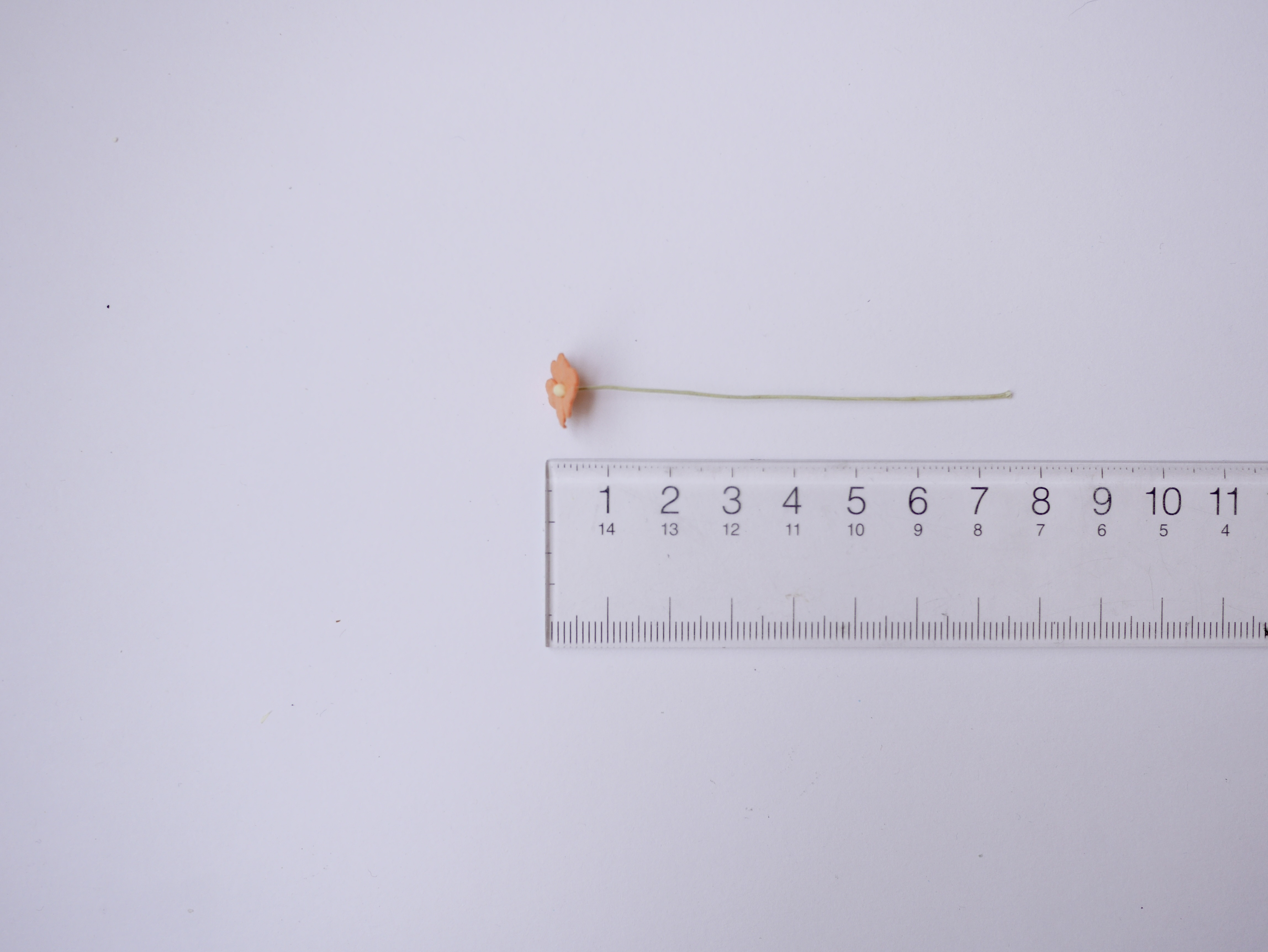 ดอกไม้กระดาษสา ดอกไม้กระดาษสาราคาส่ง ดอกไม้กระดาษสำหรับตกแต่ง งานแต่งงาน หรือติดของชำร่วย ดอกไม้จิ๋ว 100 ดอก ขนาด 1 cm. สีส้มพีช Small Paper Flower with stem, 100 pcs., size 1 cm., small creeping ladies flowers 1 layer, orange peach color.