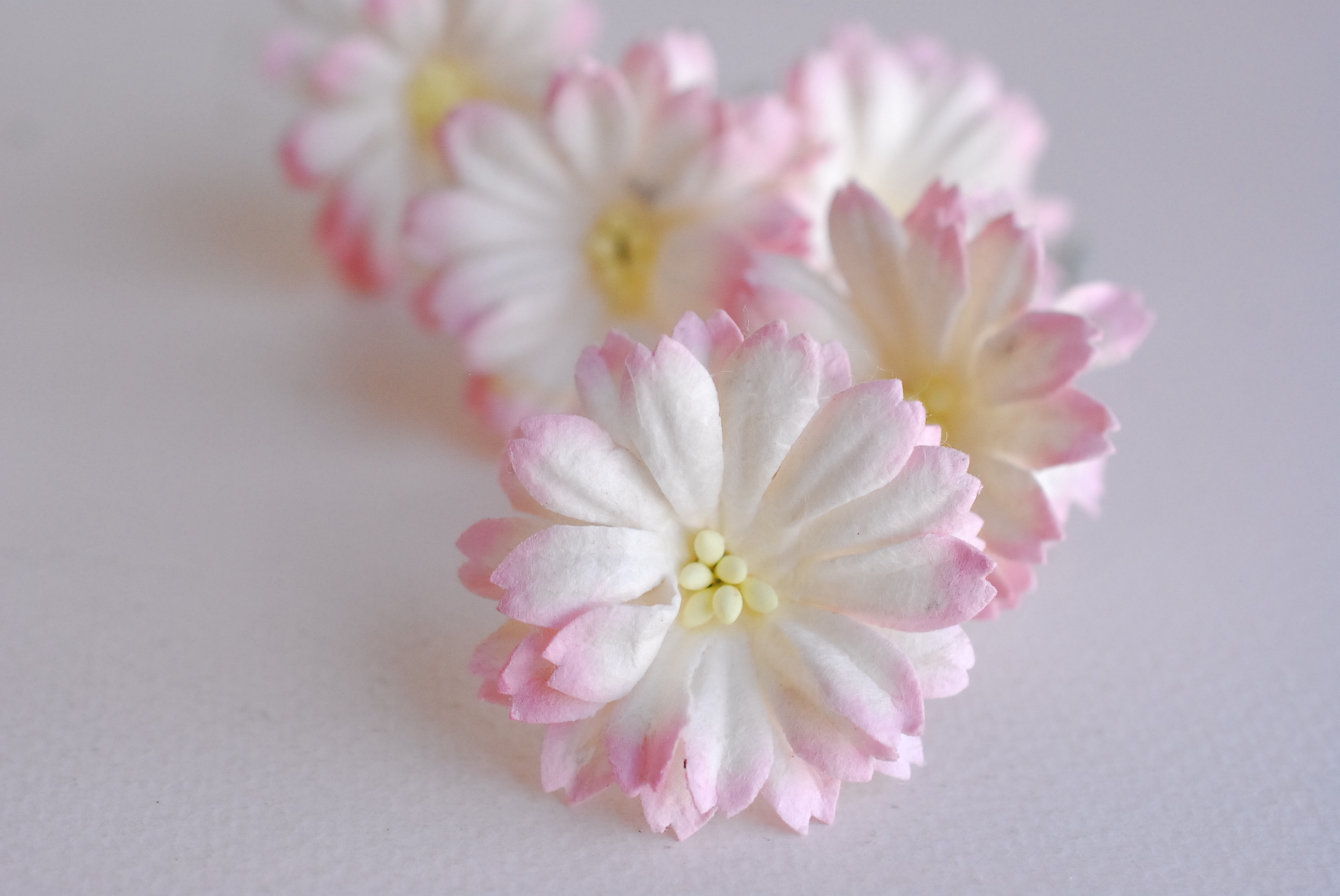 ดอกไม้กระดาษสา ดอกไม้ประดิษฐ์จากกระดาษสา ดอกเดซี่ ดอกไม้กระดาษสาขายส่ง ดอกไม้ประดิษฐ์ ดอกไม้ทำข้อมือเพื่อนเจ้าสาว ดอก daisy ขนาด 3.5 cm. จำนวน 25 ดอก สีชมพูอ่อนปัดขาว Paper Flower, 25 Daisy Flowers, pale blue color, size 4.5 cm., soft pink brush white col