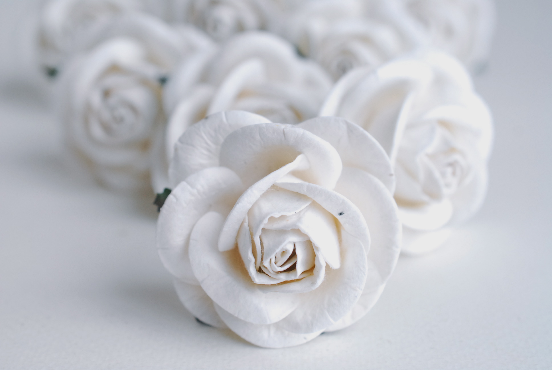 ดอกไม้กระดาษสา 10 ห่อ (200ดอก) ดอกไม้กุหลาบประดิษฐ์ ดอกไม้ประดิษฐ์ งานแต่งงาน ตกแต่งของชำร่วย ขนา่ด 4.5 cm., สำหรับของชำร่วย, งานแต่งงาน,ของชำร่วย งานแต่งงาน สีขาว Paper flower,200 Pieces mulberry rose, 4.5 cm. white color. สำเนา