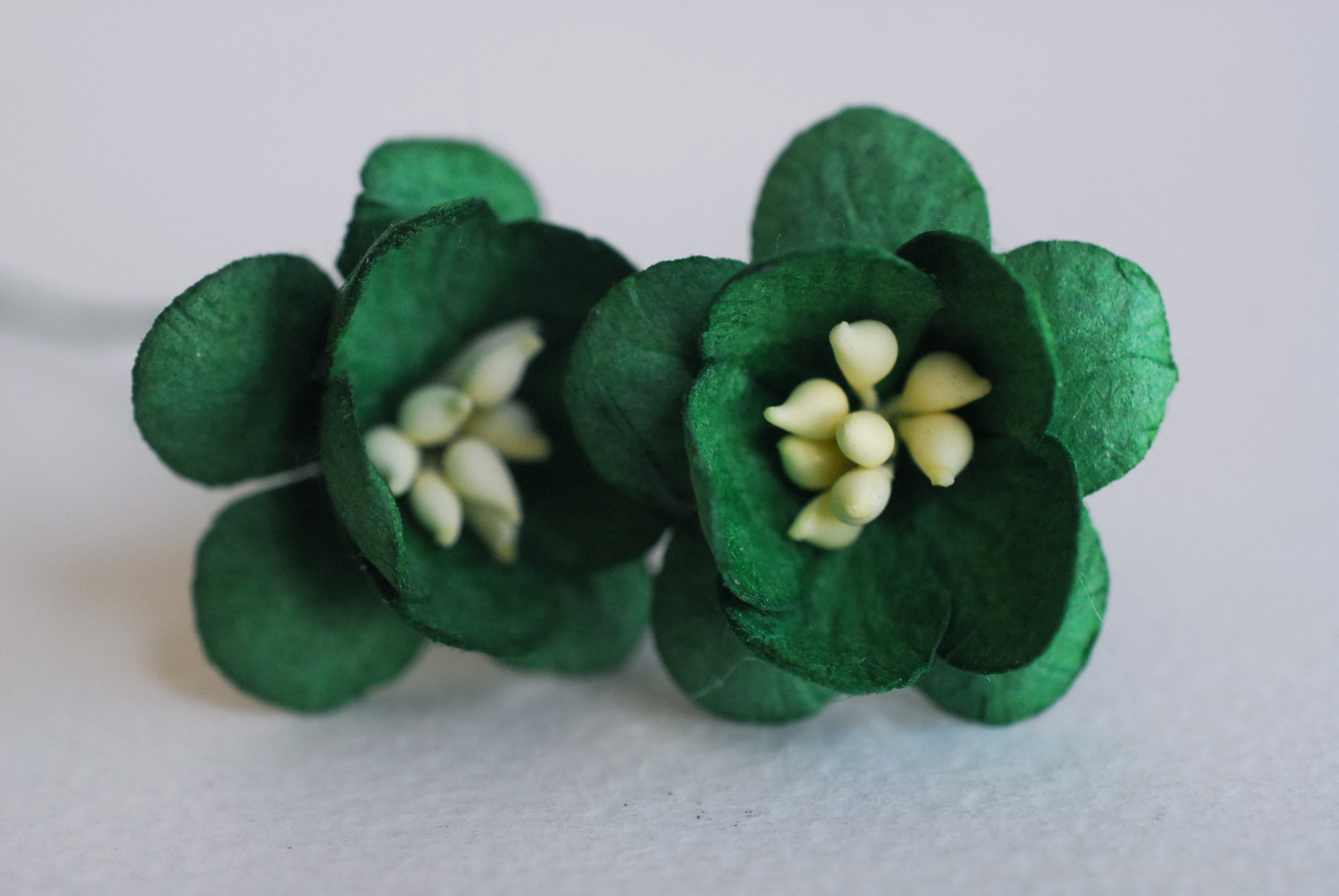 ดอกไม้กระดาษสา ดอกซากุระกระดาษ ดอกไม้กระดาษสาราคาส่ง ดอกไม้กระดาษสำหรับตกแต่งของชำร่วย งานแต่งงาน ทำช่อดอกไม้ติดอกเจ้าบ่าว ข้อมือดอกไม้เจ้าสาว ขนาด2.5 cm. 50 ดอก สีเขียวเข้มคริสมาส Paper flowers supplies: DIY wedding tools Cherry blossom (Sakura) 50 pcs.