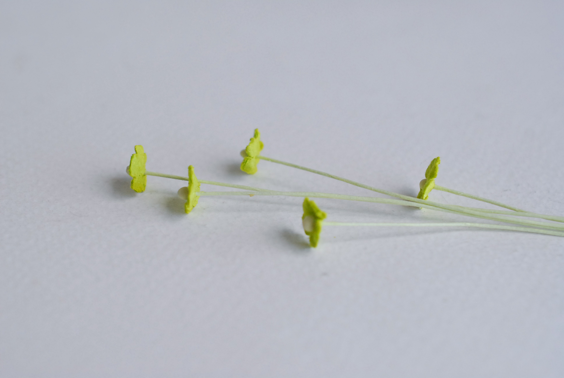 ดอกไม้กระดาษสา ดอกไม้กระดาษสาราคาส่ง ดอกไม้กระดาษสำหรับตกแต่ง งานแต่งงาน หรือติดของชำร่วย ดอกไม้จิ๋ว 100 ดอก ขนาด 0.6 cm. สีเขียว Small Paper Flower with stem, , 100 pcs., size 0.6 cm., small creeping ladies flowers 1 layer, green color.