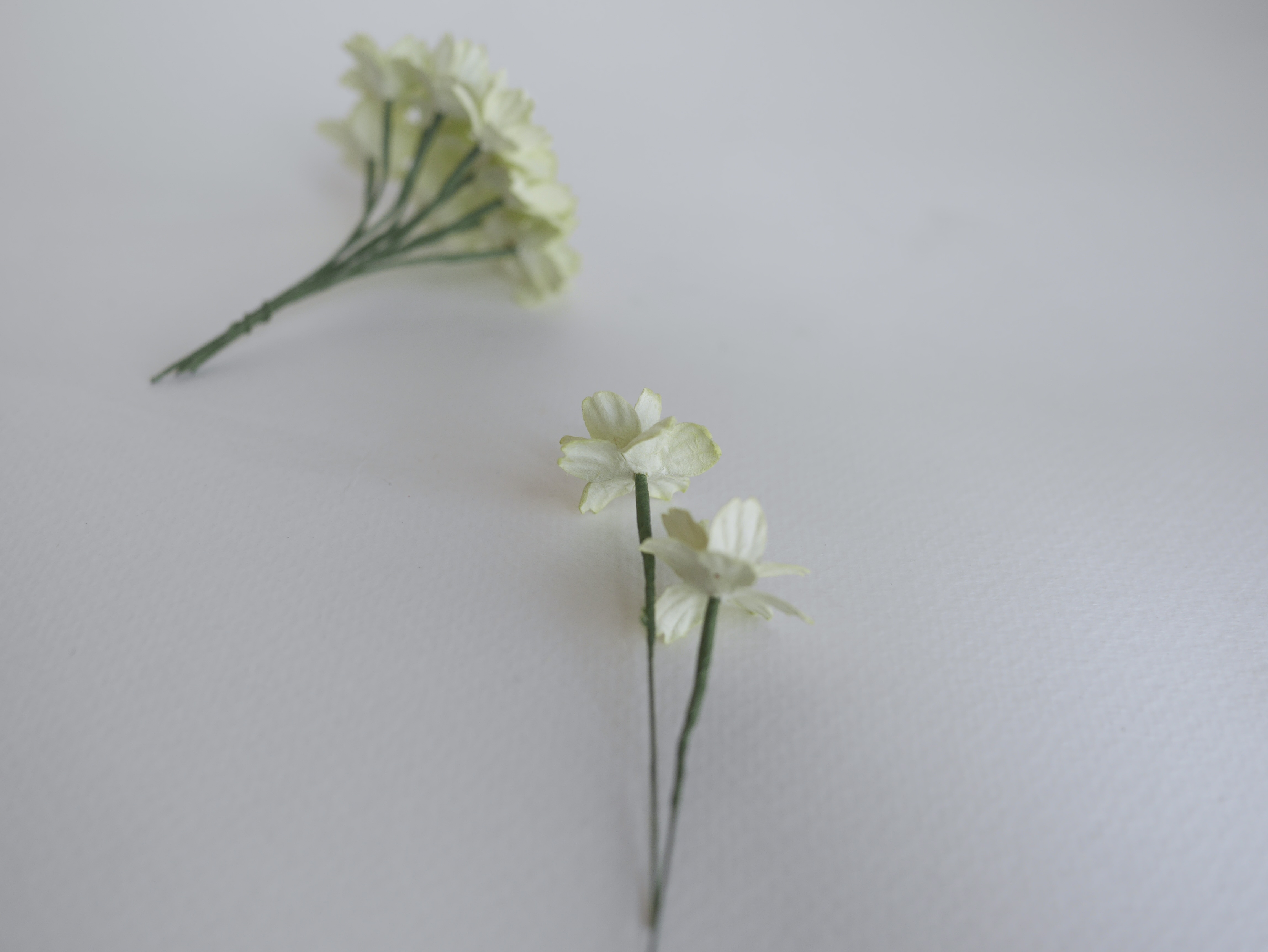 ดอกไม้กระดาษสา ดอกซากุระกระดาษ ขนาดเล็ก ดอกไม้กระดาษสาราคาส่ง ดอกไม้กระดาษสำหรับตกแต่งของชำร่วย งานแต่งงาน ทำช่อดอกไม้ติดอกเจ้าบ่าว ข้อมือดอกไม้เจ้าสาว ขนาด 2.0 cm. 50 ดอก สีเขียวพาสเทลอ่อน Paper flowers supplies: DIY wedding tools small Cherry blossom pa