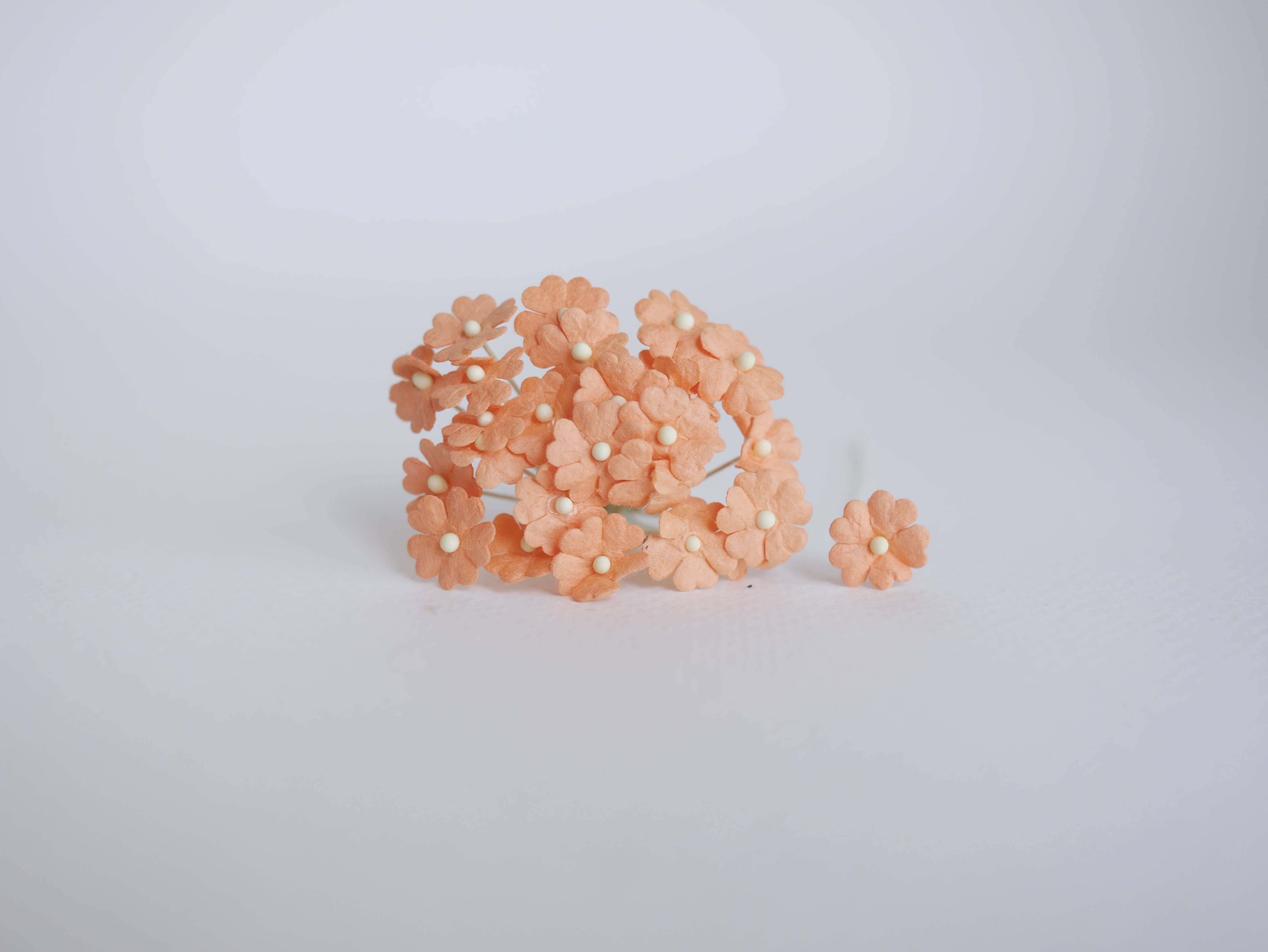 ดอกไม้กระดาษสา ดอกไม้กระดาษสาราคาส่ง ดอกไม้กระดาษสำหรับตกแต่ง งานแต่งงาน หรือติดของชำร่วย ดอกไม้จิ๋ว 100 ดอก ขนาด 1 cm. สีส้มพีช Small Paper Flower with stem, 100 pcs., size 1 cm., small creeping ladies flowers 1 layer, orange peach color.