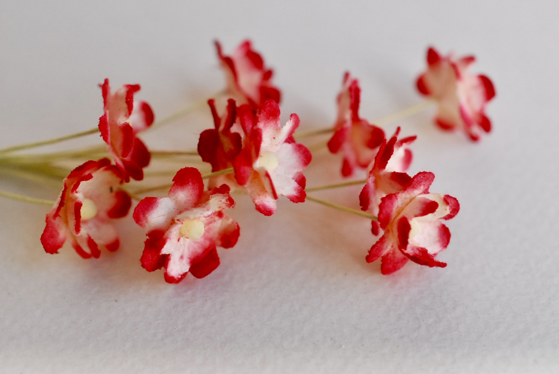 ดอกไม้กระดาษสา ดอกซากุระกระดาษขนาดเล็ก ดอกไม้กระดาษสาราคาส่ง ดอกไม้กระดาษสำหรับตกแต่งของชำร่วย งานแต่งงาน ทำช่อดอกไม้ติดอกเจ้าบ่าว ข้อมือดอกไม้เจ้าสาว ขนาด 1.5 cm. 50 ดอก Paper flowers supplies: DIY wedding tools Small Cherry blossom (Sakura) 50 pcs. size