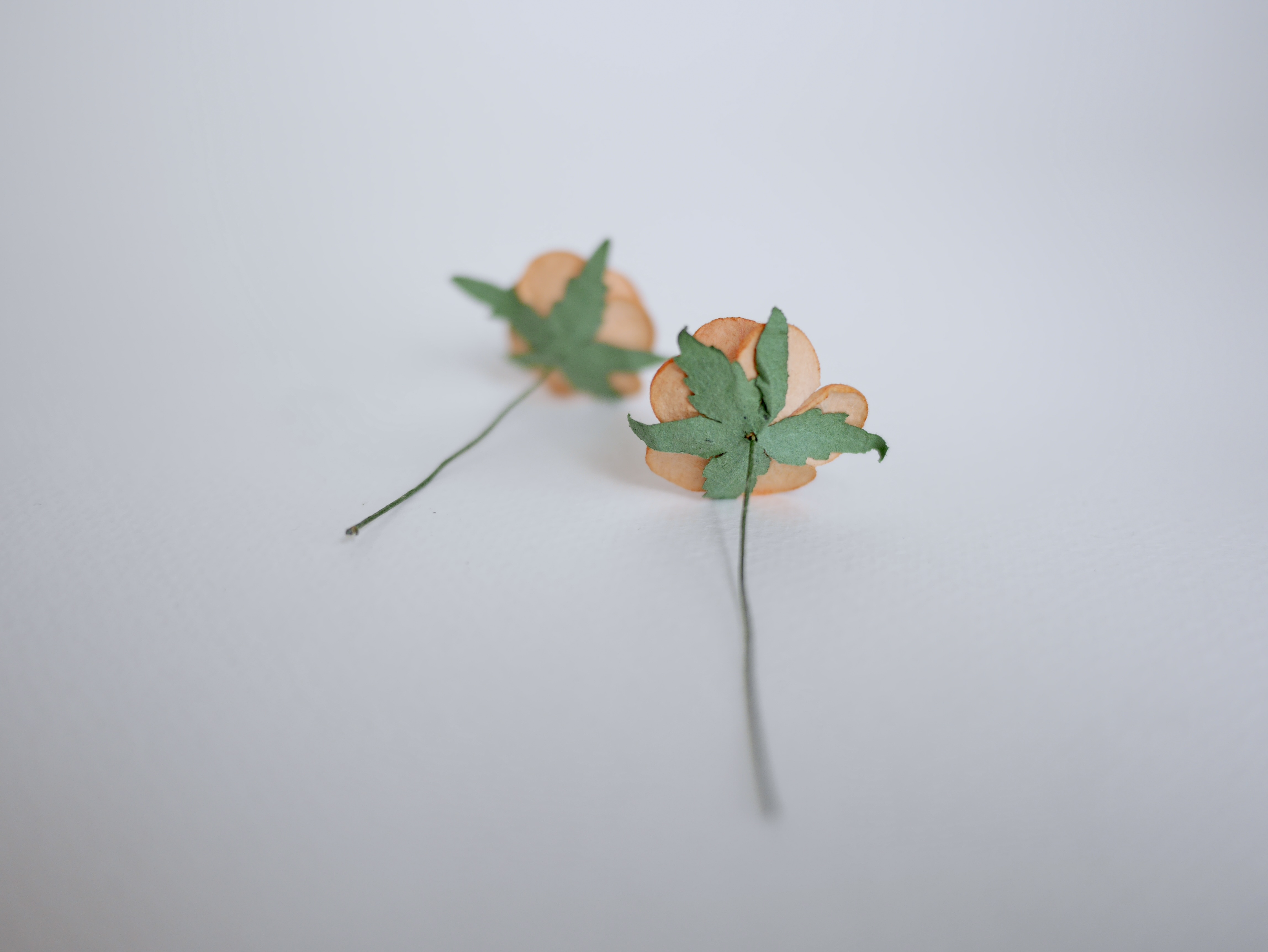 ดอกไม้กระดาษสา ราคาส่ง, ดอกกุหลาบกระดาษสา ดอกไม้ประดิษฐ์ ตกแต่งงานแต่งงาน ขนาด 2.5 cm., สำหรับของชำร่วย, งานแต่งงาน, ดอกไม้ทำข้อมือเจ้าสาว สีส้มอิฐ Paper flower, 50 Pieces mulberry rose, 2.5 cm. Fire orange color.