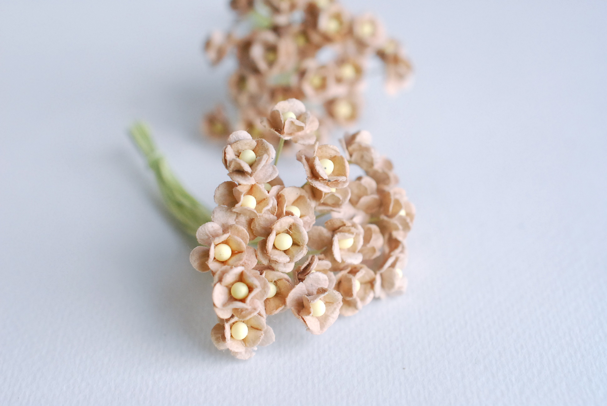 ดอกไม้กระดาษสา ดอกไม้กระดาษสาราคาส่ง ดอกไม้กระดาษสำหรับตกแต่ง งานแต่งงาน หรือติดของชำร่วย ดอก creeping lady 100 ดอก ขนาด 0.8 cm. สีน้ำตาล Small Paper Flower with stem, 100 pcs., size 0.8 cm., creeping flowers 2 layers, brown color.