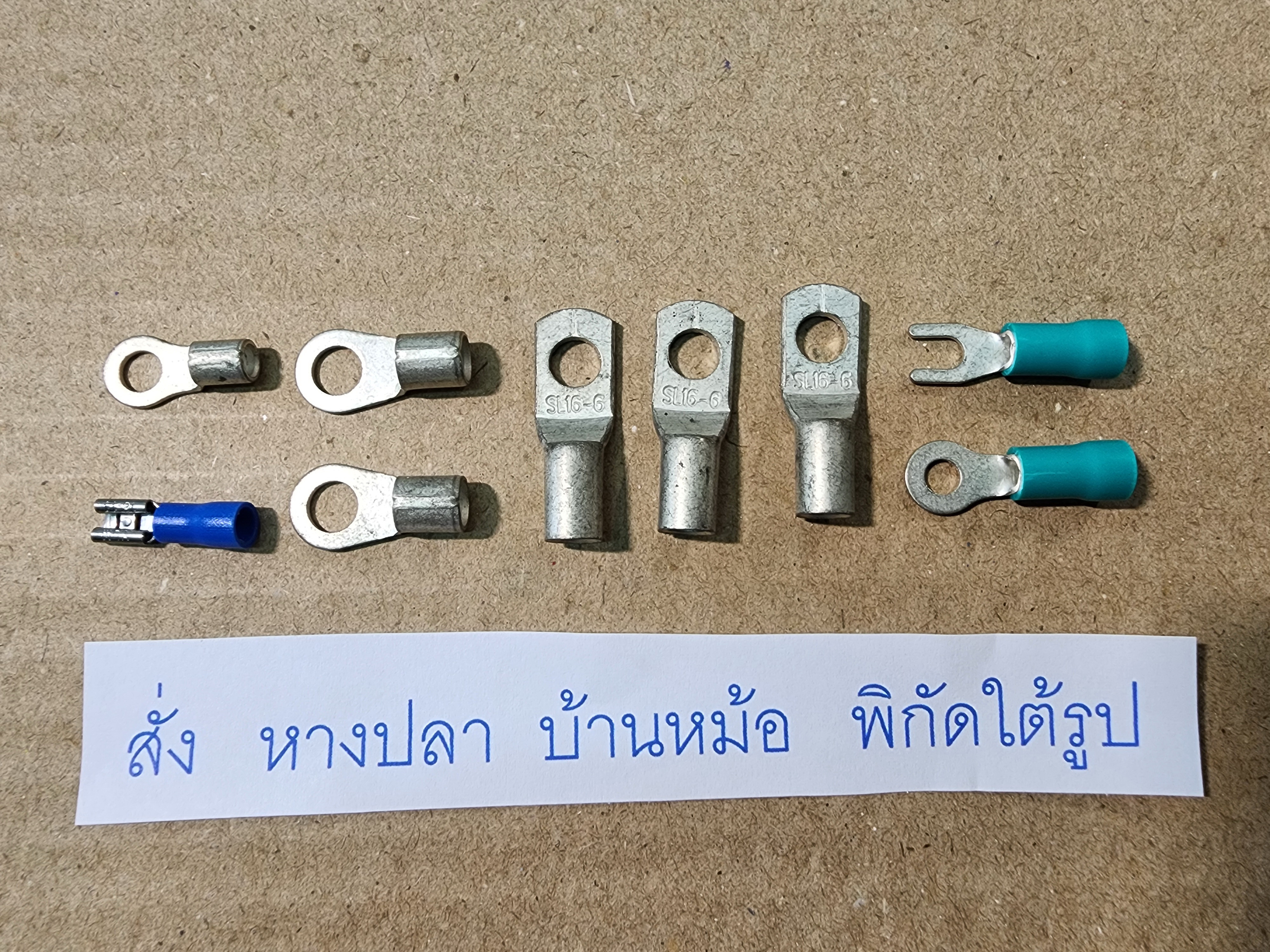 หางปลากลม หางปลา แบบต่างๆ