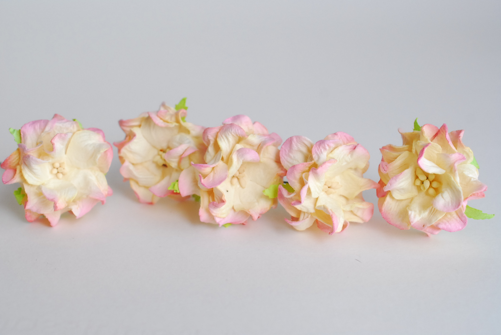 ดอกไม้กระดาษสา ราคาส่ง, ดอกการเดนเนียกระดาษสา ดอกไม้ประดิษฐ์ ตกแต่งงานแต่งงาน ประดิษฐ์ข้อมือเพื่อนเจ้าสาว ขนาด 3.5 cm., สำหรับของชำร่วย, งานแต่งงาน, ดอกไม้ทำข้อมือเจ้าสาว สีชมพูปัดครีม จำนวน 25 ดอก Paper flower, 25 Pieces mulberry gardenia flowers supplie