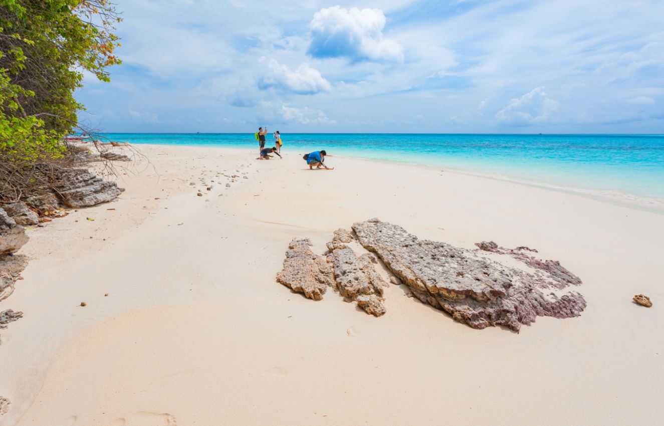 ทัวร์เกาะรอก