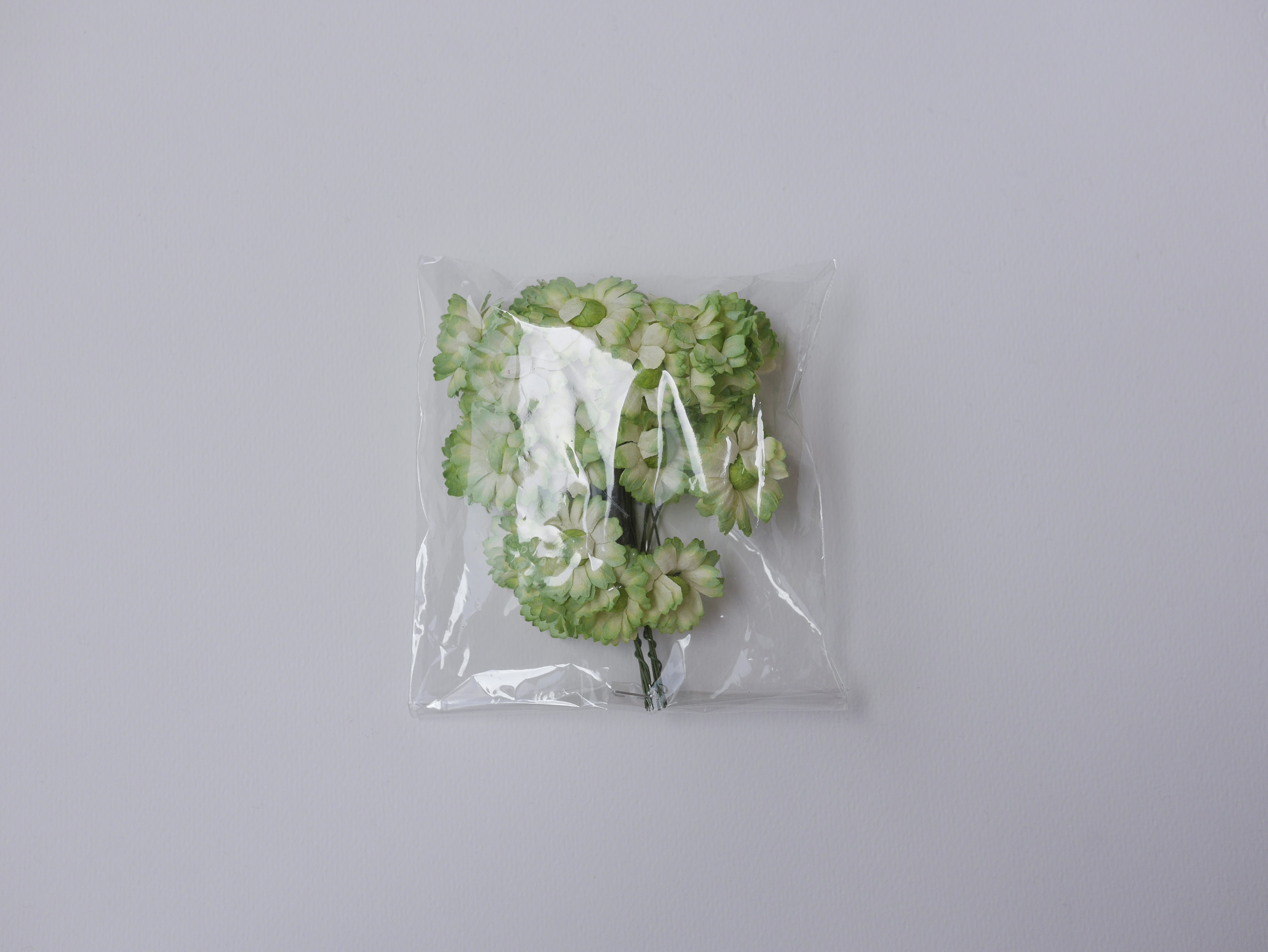 ดอกไม้กระดาษสา ดอกไม้ประดิษฐ์จากกระดาษสา ดอกเดซี่ เกสรสีทอง ดอกไม้กระดาษสาขายส่ง ดอกไม้ประดิษฐ์ ดอกไม้ทำข้อมือเพื่อนเจ้าสาว ดอก daisy ขนาด 3 cm. จำนวน 25 ดอก สีเขียว Paper Flower, 25 Daisy Flowers, green color, size 3 cm., green pollen.