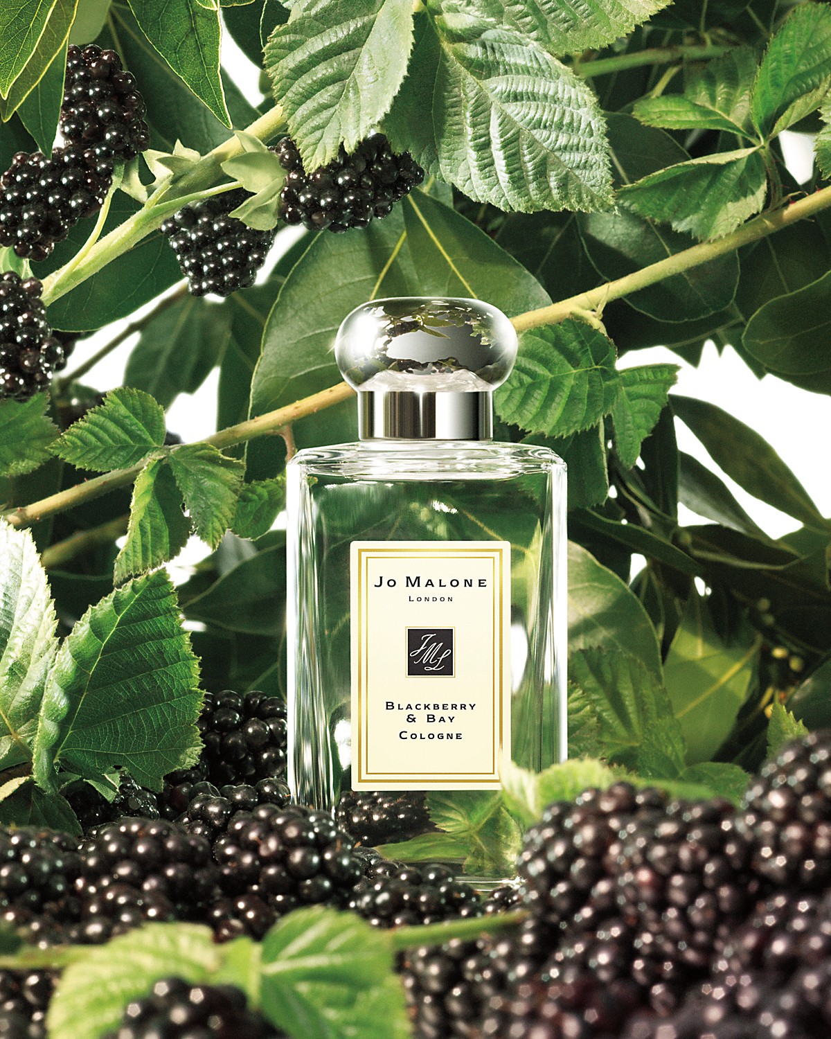 JO MALONE LONDON Blackberry & Bay EDC 100 ml (Counter Box)