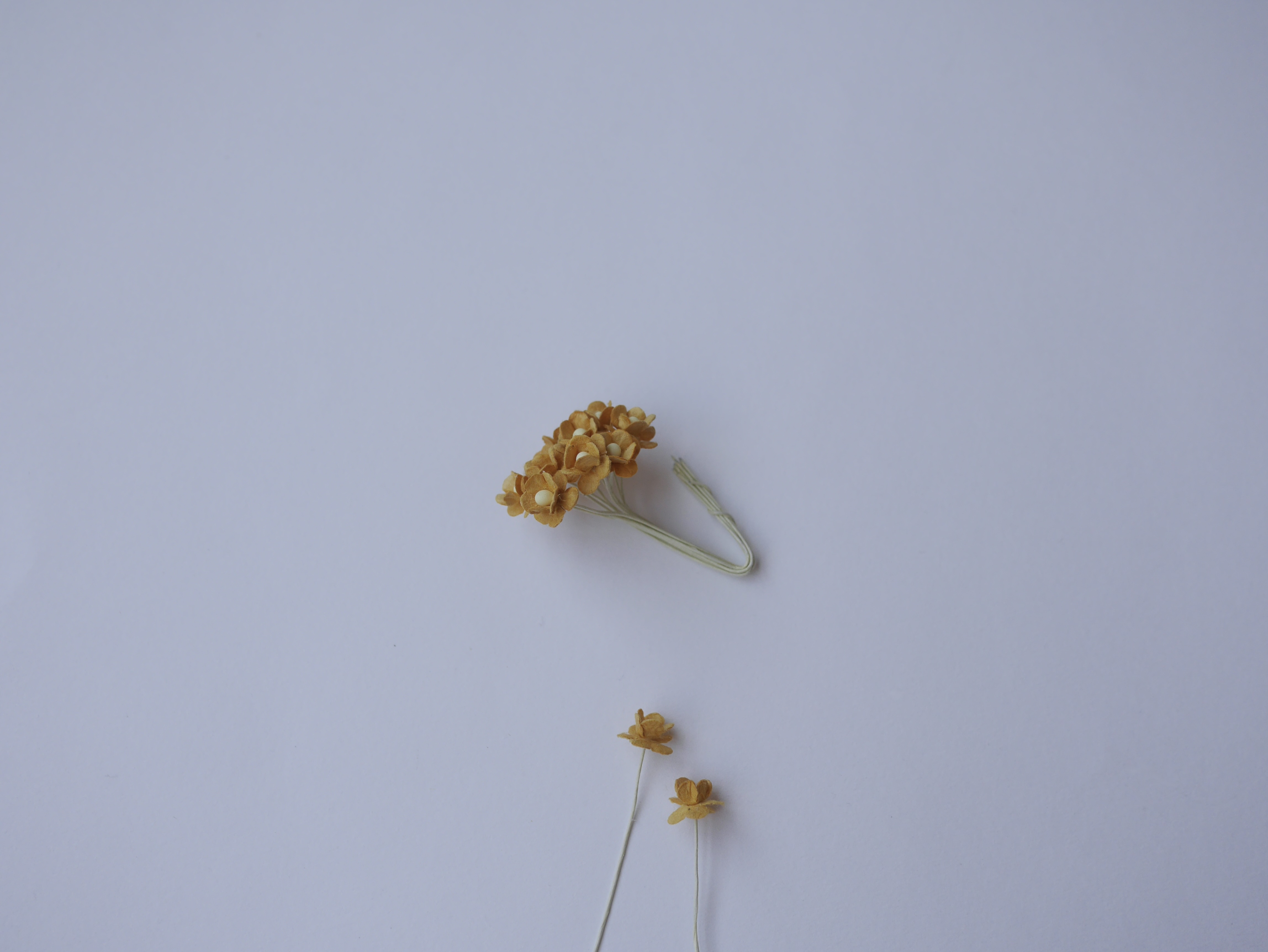 ดอกไม้กระดาษสา ดอกไม้กระดาษสาราคาส่ง ดอกไม้กระดาษสำหรับตกแต่ง งานแต่งงาน หรือติดของชำร่วย ดอก creeping lady 100 ดอก ขนาด 0.8 cm. สีน้ำตาลกากี Small Paper Flower with stem, 100 pcs., size 0.8 cm., creeping flowers 2 layers, khaki brown color.