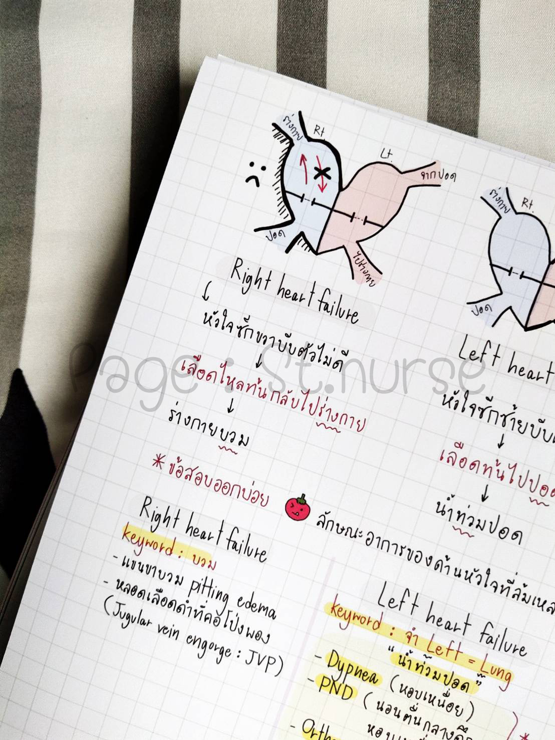 shortnote ผู้ใหญ่ Part1