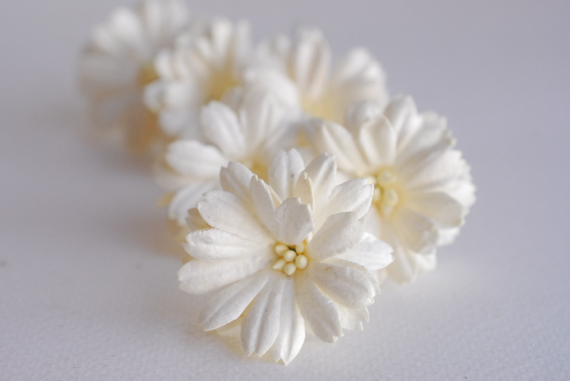 ดอกไม้กระดาษสา ดอกไม้ประดิษฐ์จากกระดาษสา ดอกเดซี่ ดอกไม้กระดาษสาขายส่ง ดอกไม้ประดิษฐ์ ดอกไม้ทำข้อมือเพื่อนเจ้าสาว ดอก daisy ขนาด 3.5 cm. จำนวน 25 ดอก สีครีม Paper Flower, 25 Daisy Flowers, ivory color, size 4.5 cm., ivory cream pollen.