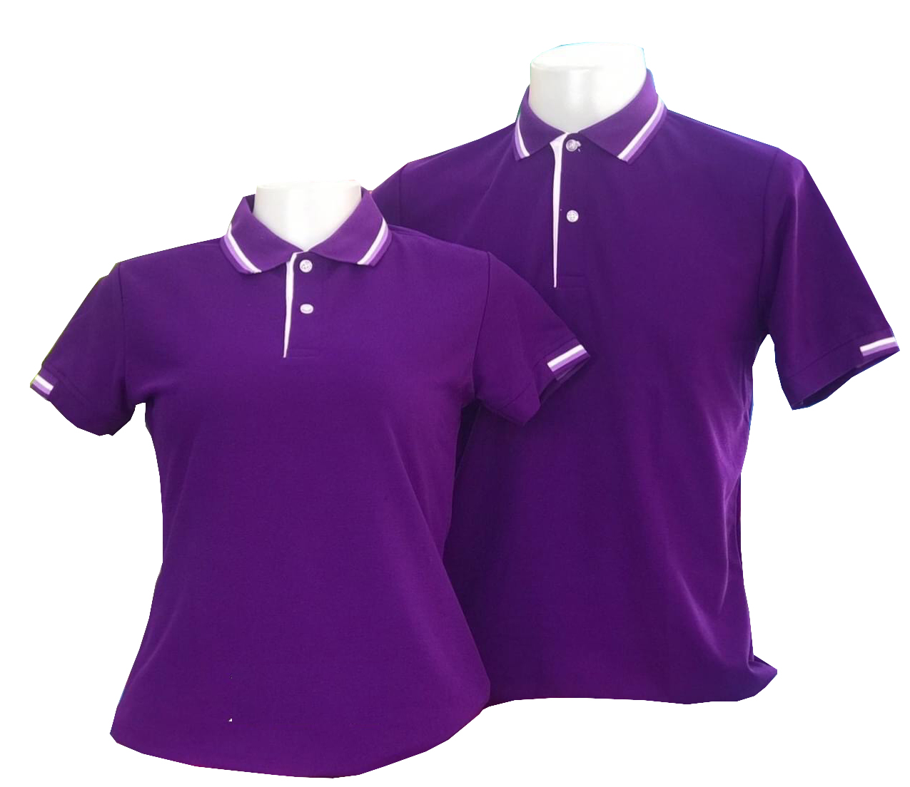 เสื้อโปโล สีม่วงเม็ดมะปราง ปก แขนทอลายเส้นสีม่วงเข้ม สีขาว ราคาส่ง