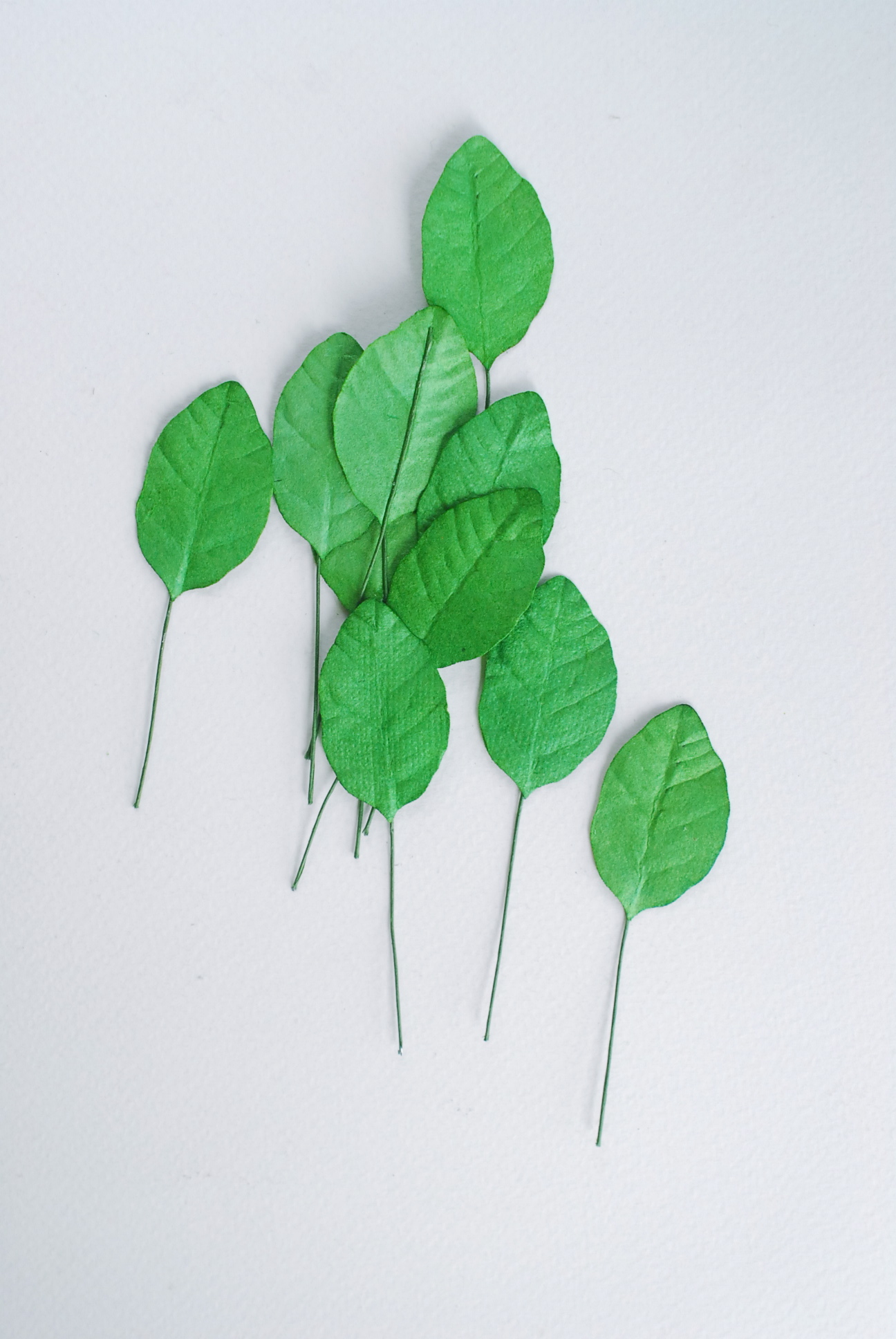 ใบไม้กระดาษ ใบไม้กระดาษสา ราคาส่ง,ใบไม่้กุหลาบกระดาษ สำหรับดอกมะลิกระดาษสา ใบไม้ประดิษฐ์ สำหรับตกแต่ง หรืองานแต่งงาน สีเขียวกลาง ขนาด 3.5x2.5 cm. จำนวน 50 ใบ