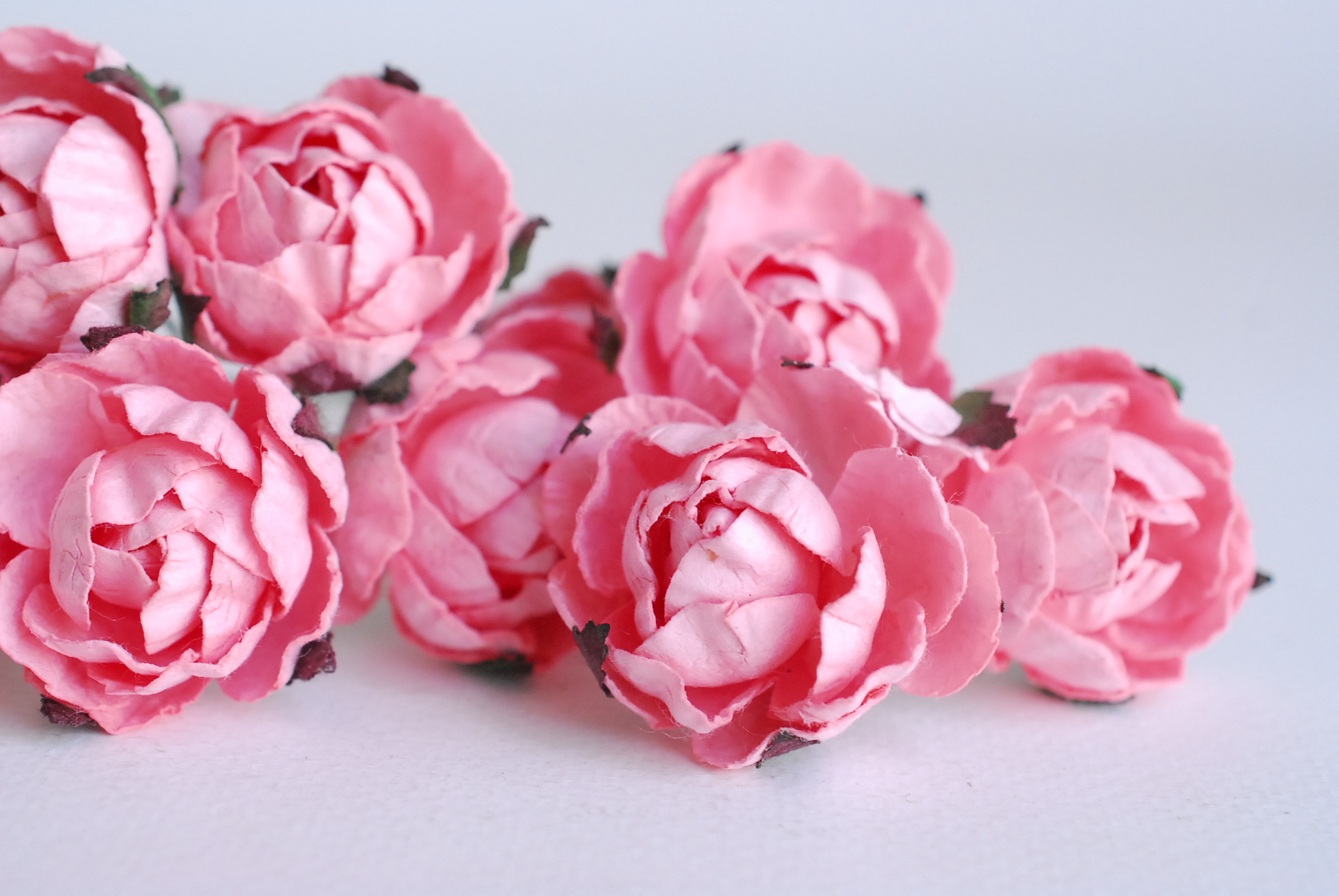 ดอกกุหลาบกระดาษสา peony ดอกไม้กระดาษสาราคาส่ง, ดอกไม้กระดาษ,ดอกไม้ประดิษฐ์ สำหรับตกแต่งของชำร่วย งานแต่งงาน ดอกกุหลาบกลม peony ขนาด 3.5 cm. จำนวน 25 ดอก, สีชมพูหวาน Paper Flowers, Peony flowers supplies size 3.5cm./ 25 pieces, handmade flowers. pink color