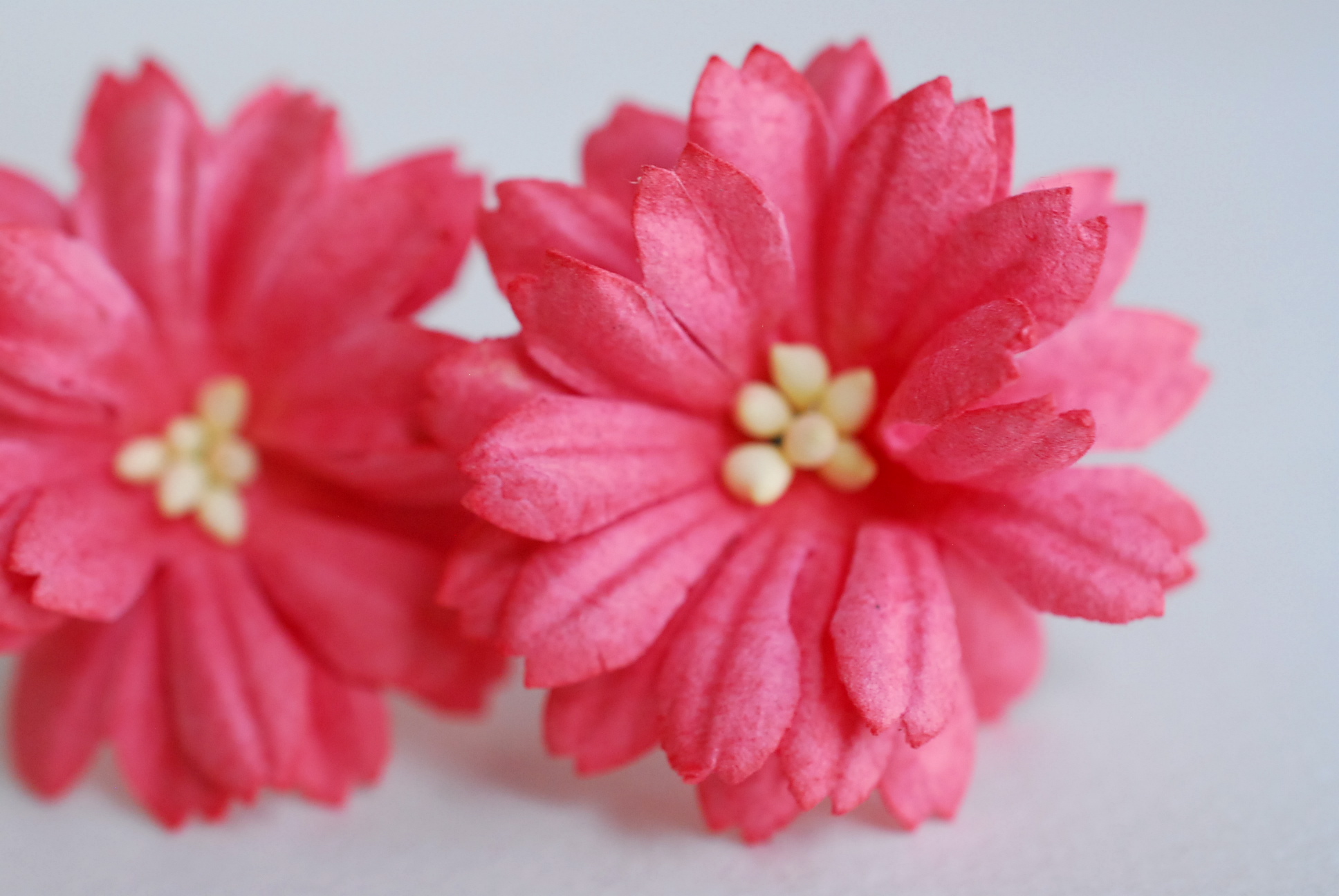 ดอกไม้กระดาษสา ดอกไม้ประดิษฐ์จากกระดาษสา ดอกเดซี่ ดอกไม้กระดาษสาขายส่ง ดอกไม้ประดิษฐ์ ดอกไม้ทำข้อมือเพื่อนเจ้าสาว ดอก daisy ขนาด 3.5 cm. จำนวน 25 ดอก สีชมพูแดง Paper Flower, 25 Daisy Flowers, size 4.5 cm., pink rouge color