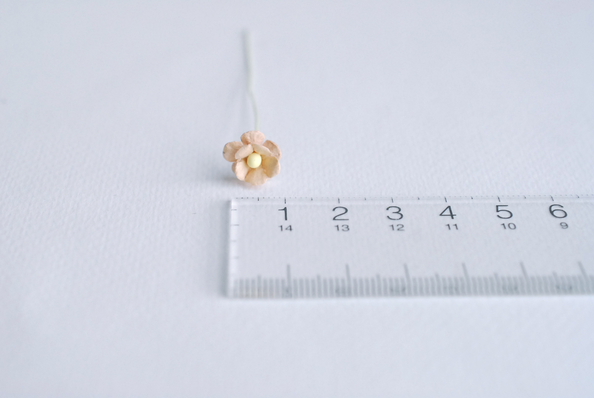 ดอกไม้กระดาษสา ดอกไม้กระดาษสาราคาส่ง ดอกไม้กระดาษสำหรับตกแต่ง งานแต่งงาน หรือติดของชำร่วย ดอก creeping lady 100 ดอก ขนาด 0.8 cm. สีน้ำตาล Small Paper Flower with stem, 100 pcs., size 0.8 cm., creeping flowers 2 layers, brown color.