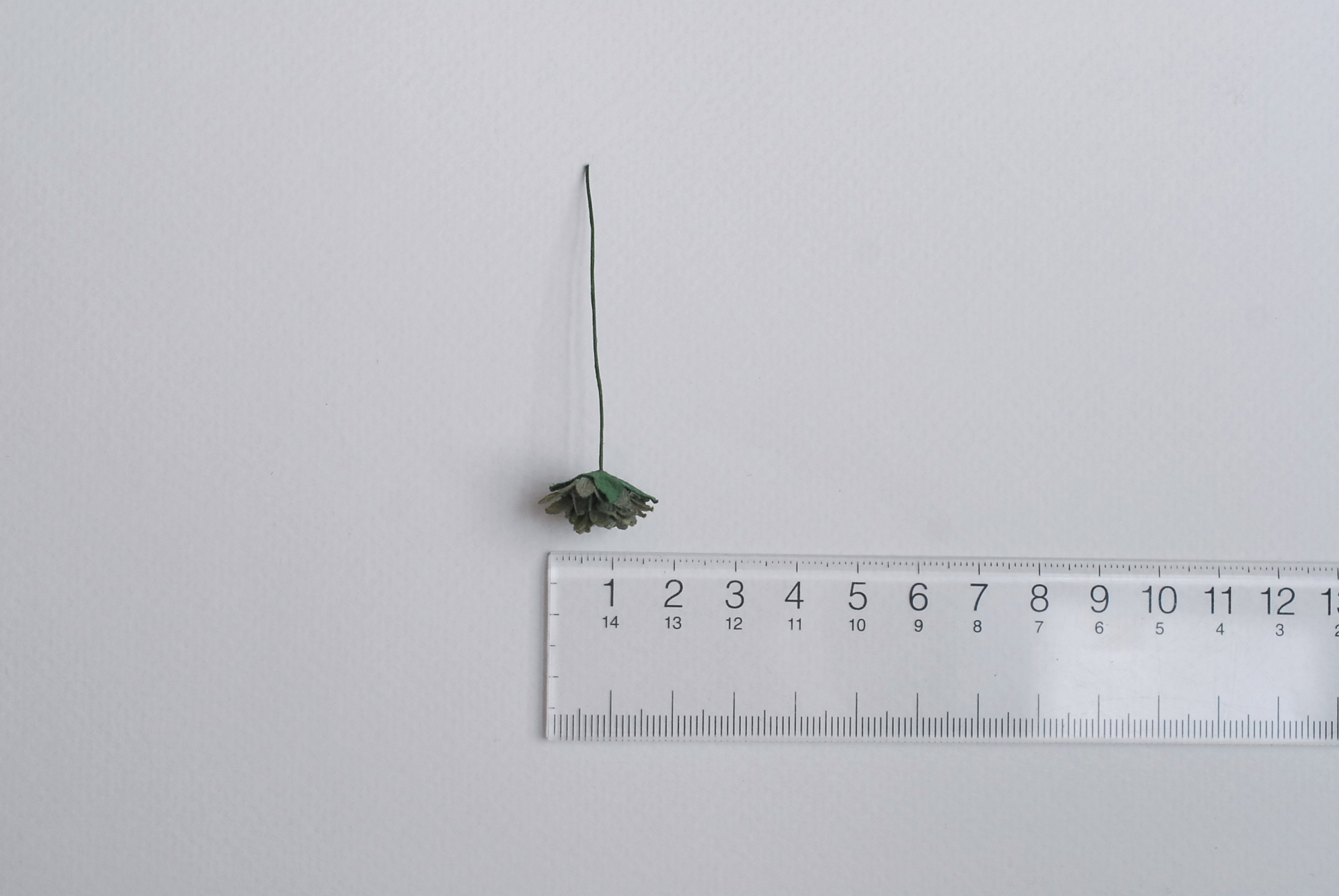 ดอกไม้ประดิษฐ์, ดอกไม้กระดาษสา, ดอก gypsophila, ดอกยิปโซ งานประดิษฐ์ตกแต่งของชำร่วย, ดอกไม้ทำพานพุ่ม,พานพวงมาลัย, พานรับไหว้, ขนาด 1.5 cm. สีเขียวตุ่น