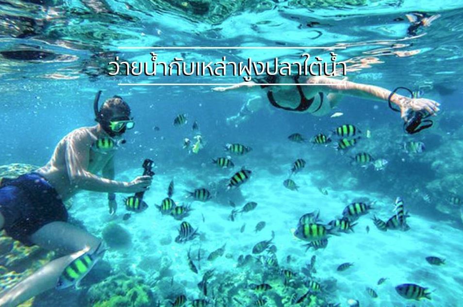 อันดับ 1 ทัวร์เกาะพีพี อ่าวมาหยา อ่าวปิเละ เกาะไข่ เรือสปีดโบ๊ท Phi Phi Island Khai Island - Maya Bay - Pileh Lagoon