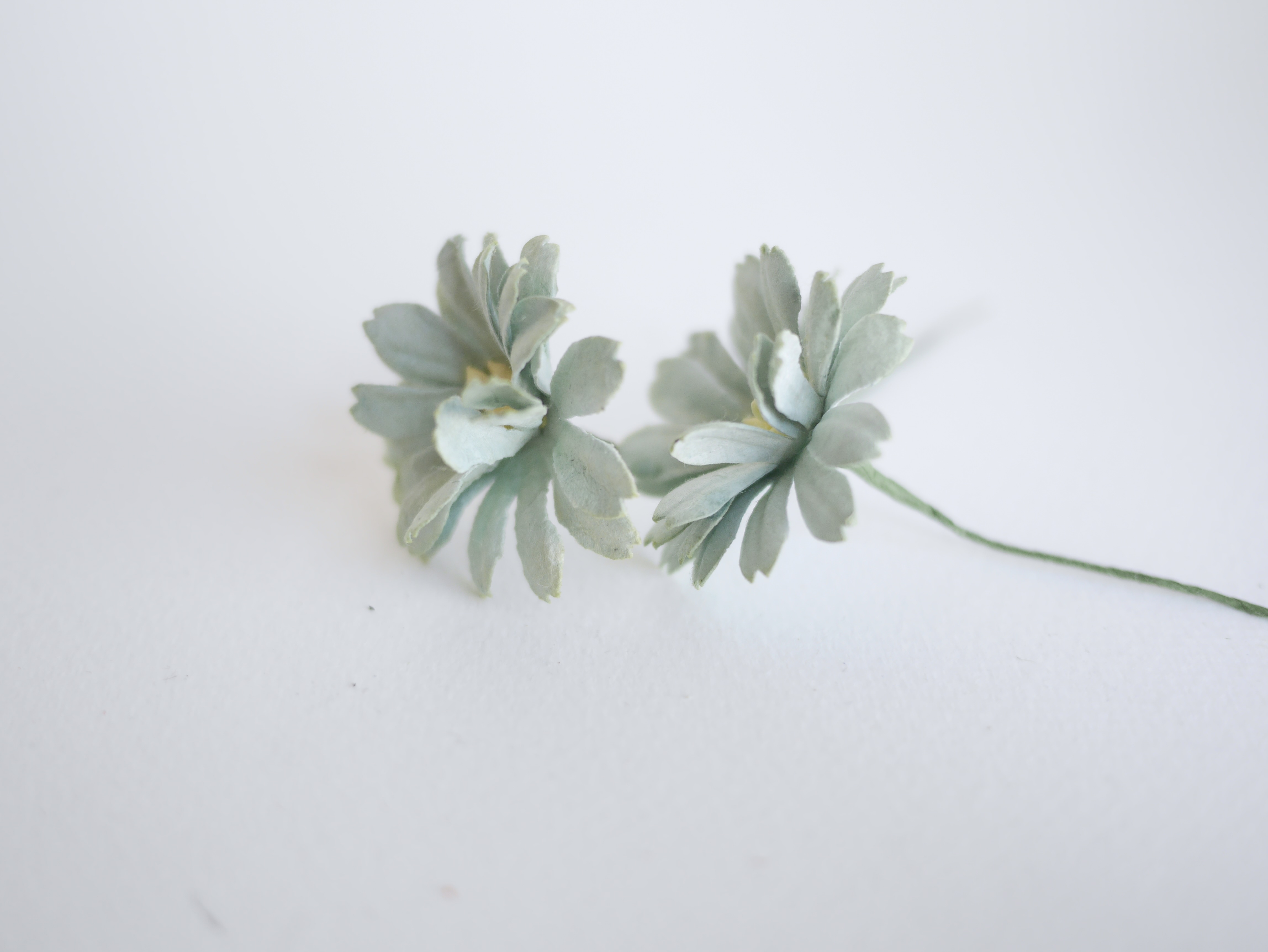 ดอกไม้กระดาษสา ดอกไม้ประดิษฐ์จากกระดาษสา ดอกไม้กระดาษสาขายส่ง ดอกไม้ประดิษฐ์ ดอกไม้ทำข้อมือเพื่อนเจ้าสาว ดอก daisy ขนาด 3.5 cm. จำนวน 25 ดอก สีเขียวตุ่น Paper Flower, 25 Daisy Flowers, pale green color, size 3.5 cm., ivory pollen