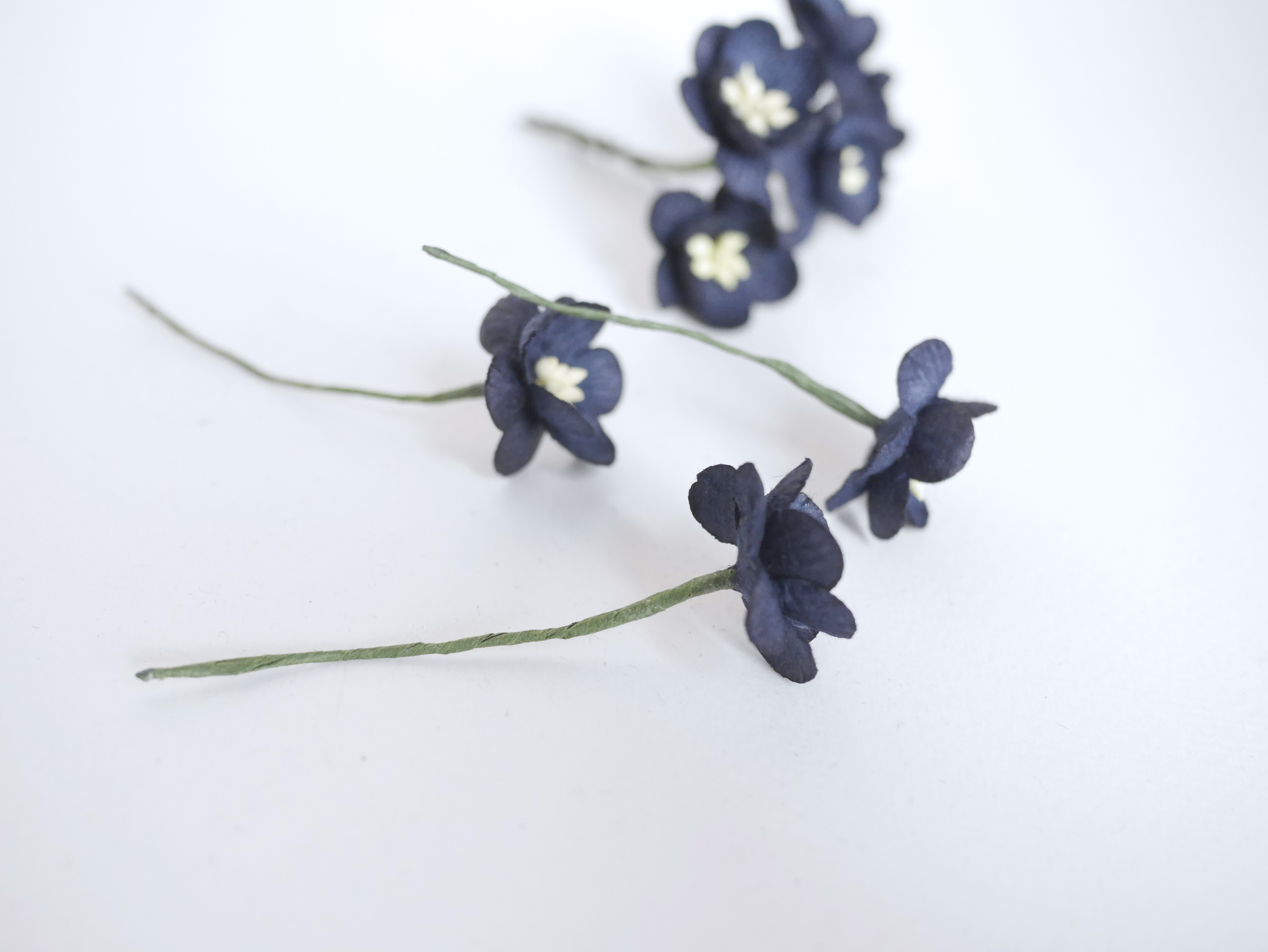 ดอกไม้กระดาษสา ดอกซากุระกระดาษ ดอกไม้กระดาษสาราคาส่ง ดอกไม้กระดาษสำหรับตกแต่งของชำร่วย งานแต่งงาน ทำช่อดอกไม้ติดอกเจ้าบ่าว ข้อมือดอกไม้เจ้าสาว ขนาด2.5 cm. 50 ดอก สีดำ Paper flowers supplies: DIY wedding tools Cherry blossom (Sakura) 50 pcs. size 2.5 cm. b