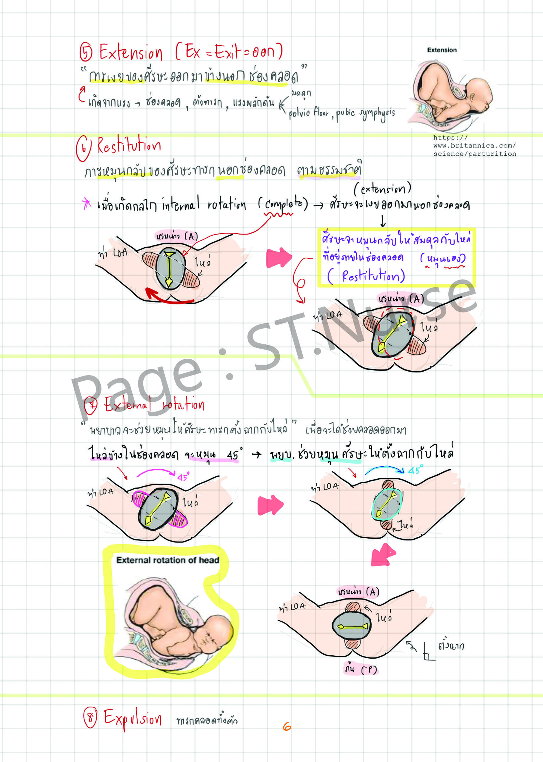 Shortnote การพยาบาลผดุงครรภ์