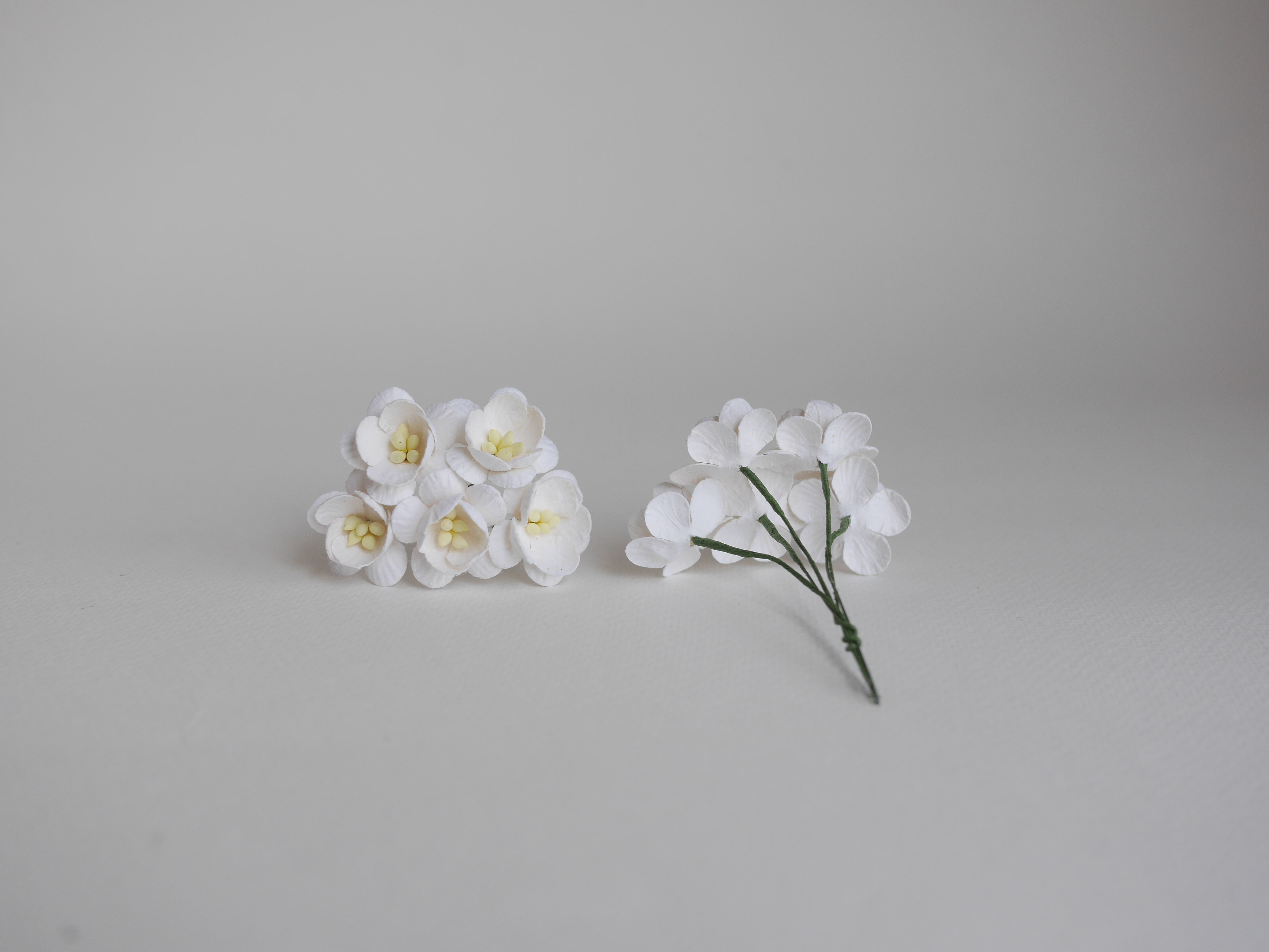 ดอกไม้กระดาษสา ดอกซากุระกระดาษ ขนาดเล็ก ดอกไม้กระดาษสาราคาส่ง ดอกไม้กระดาษสำหรับตกแต่งของชำร่วย งานแต่งงาน ทำช่อดอกไม้ติดอกเจ้าบ่าว ข้อมือดอกไม้เจ้าสาว ขนาด2.5 cm. 50 ดอก สีขาว white Paper flowers supplies: DIY wedding tools small Cherry blossom (Sakura)