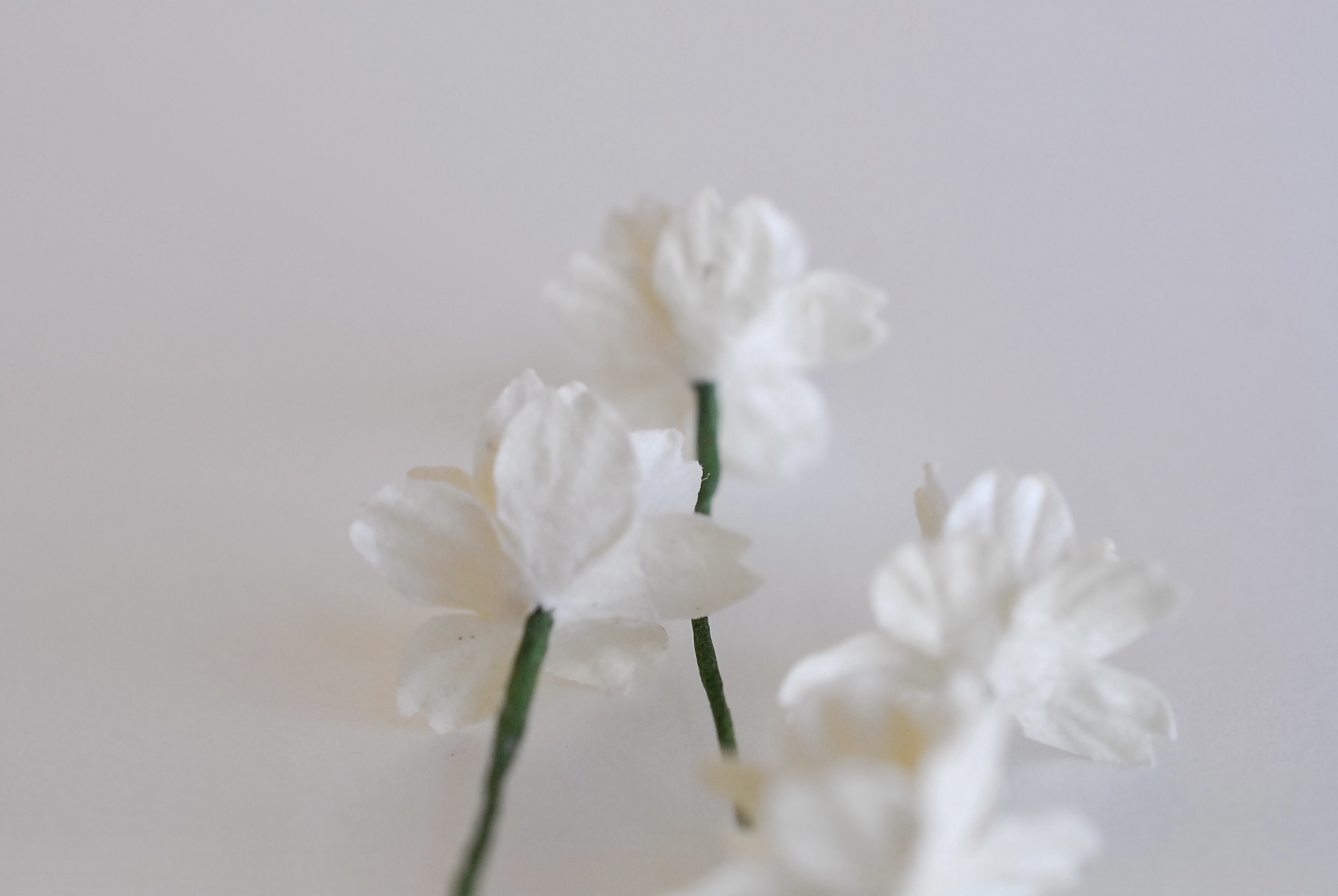 ดอกไม้กระดาษสา ดอกซากุระกระดาษ ขนาดเล็ก ดอกไม้กระดาษสาราคาส่ง ดอกไม้กระดาษสำหรับตกแต่งของชำร่วย งานแต่งงาน ทำช่อดอกไม้ติดอกเจ้าบ่าว ข้อมือดอกไม้เจ้าสาว ขนาด2.0 cm. 50 ดอก สี ofwhite Paper flowers supplies: DIY wedding tools small Cherry blossom (Sakura)