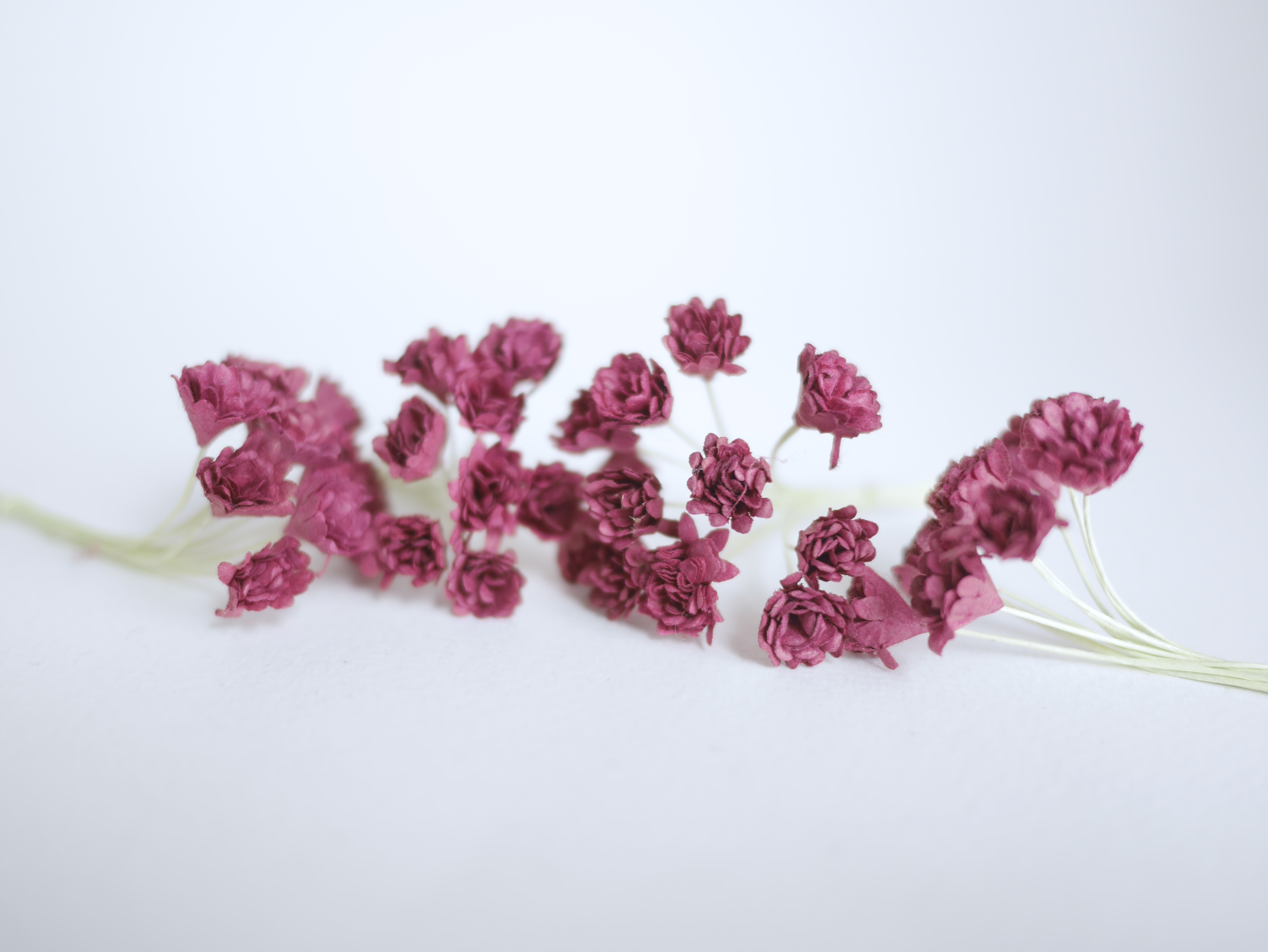 ดอกไม้ประดิษฐ์, ดอกไม้กระดาษสา, ดอก gypsophila, ดอกยิปโซ งานประดิษฐ์ตกแต่งของชำร่วย, ดอกไม้ทำพานพุ่ม, พานรับไหว้, ขนาด 1 cm. สีแดงเลือดหมู burgundy color