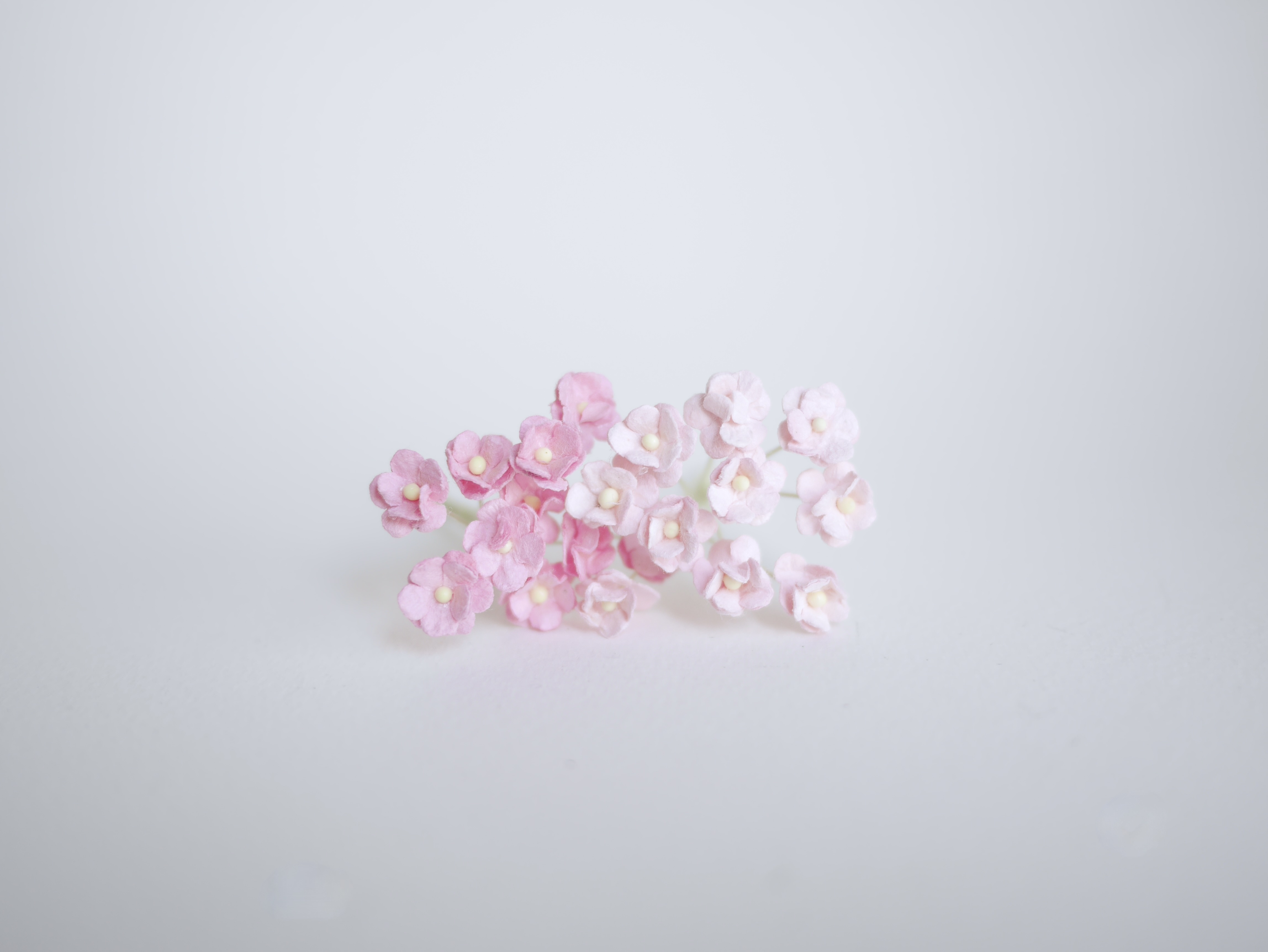 ดอกไม้กระดาษสา ดอกไม้กระดาษสาราคาส่ง ดอกไม้กระดาษสำหรับตกแต่ง งานแต่งงาน หรือติดของชำร่วย ดอก creeping lady 100 ดอก ขนาด 0.8 cm. คละสีพาสเทล Small Paper Flower with stem, , 100 pcs., size 0.8 cm., creeping flowers 2 layers, pastel mixed rainbow color.