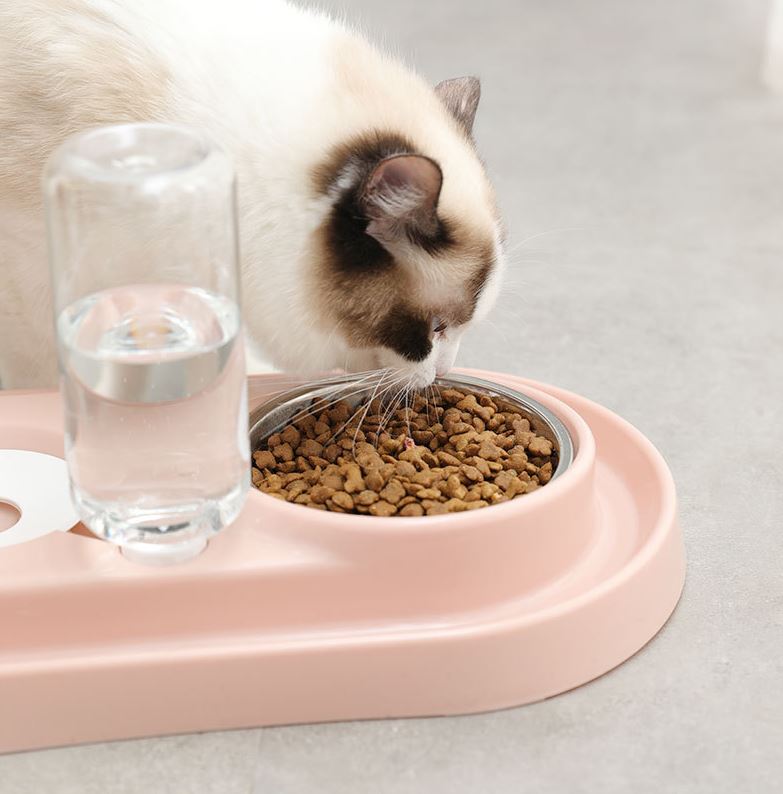 [1100] ชามให้น้ำ ให้อาหารสด สุนัข แมว ทำความสะอาดง่าย มีช่องน้ำหล่อกันมดขึ้น